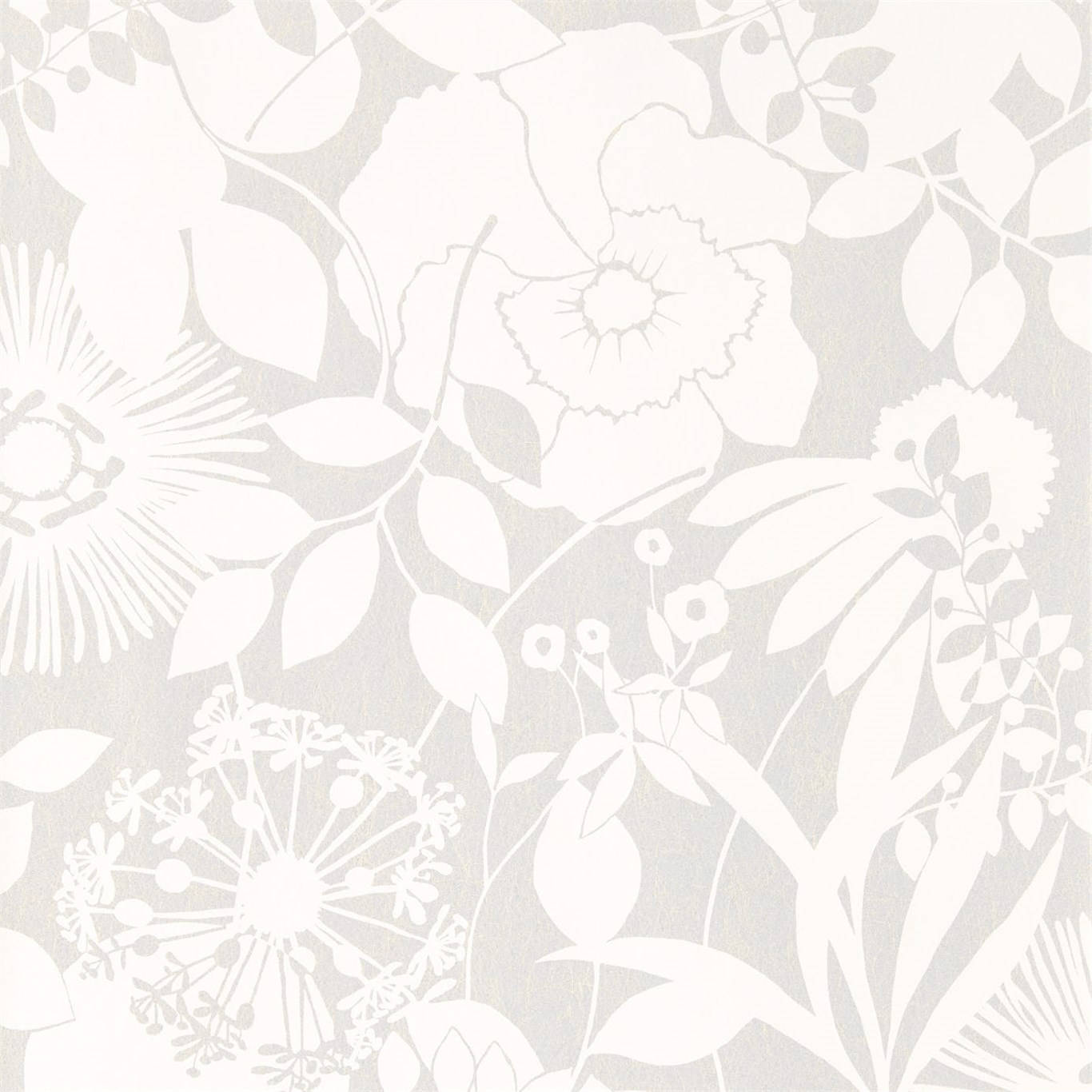 Coquette, white flowers, soft gray textured background, HD Desktop Wallpaper
