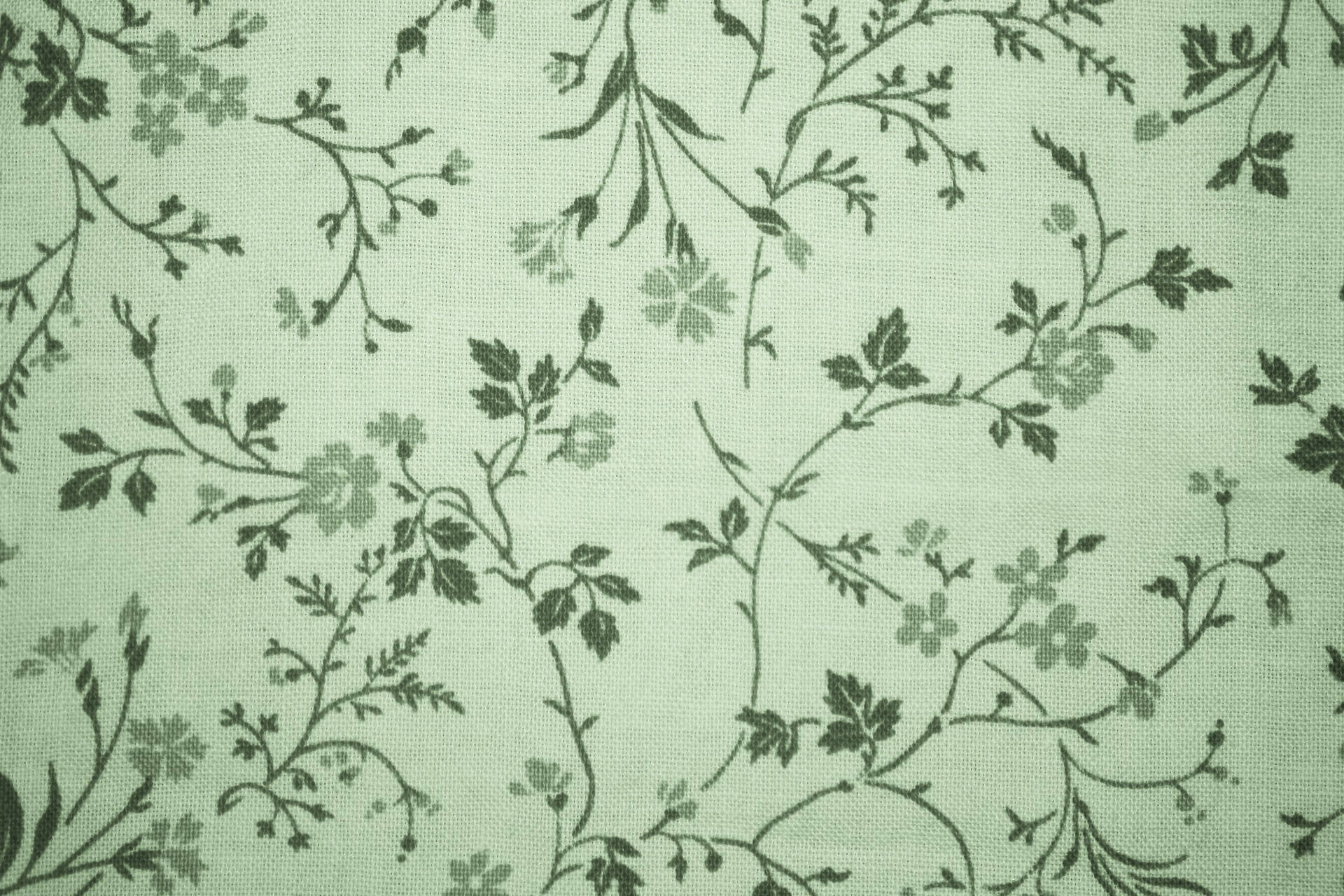 pastel green aesthetic laptop, 1920 x 1280, dark green floral vines, Full HD Desktop Wallpaper