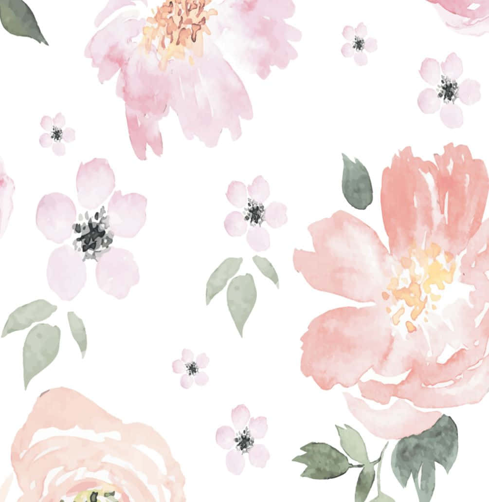 floral print, pink, peach, SD Phone Wallpaper