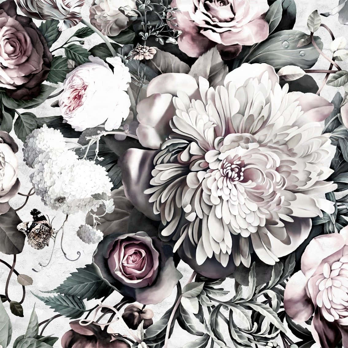 floral print, mauve roses, white chrysanthemums, SD Desktop Wallpaper