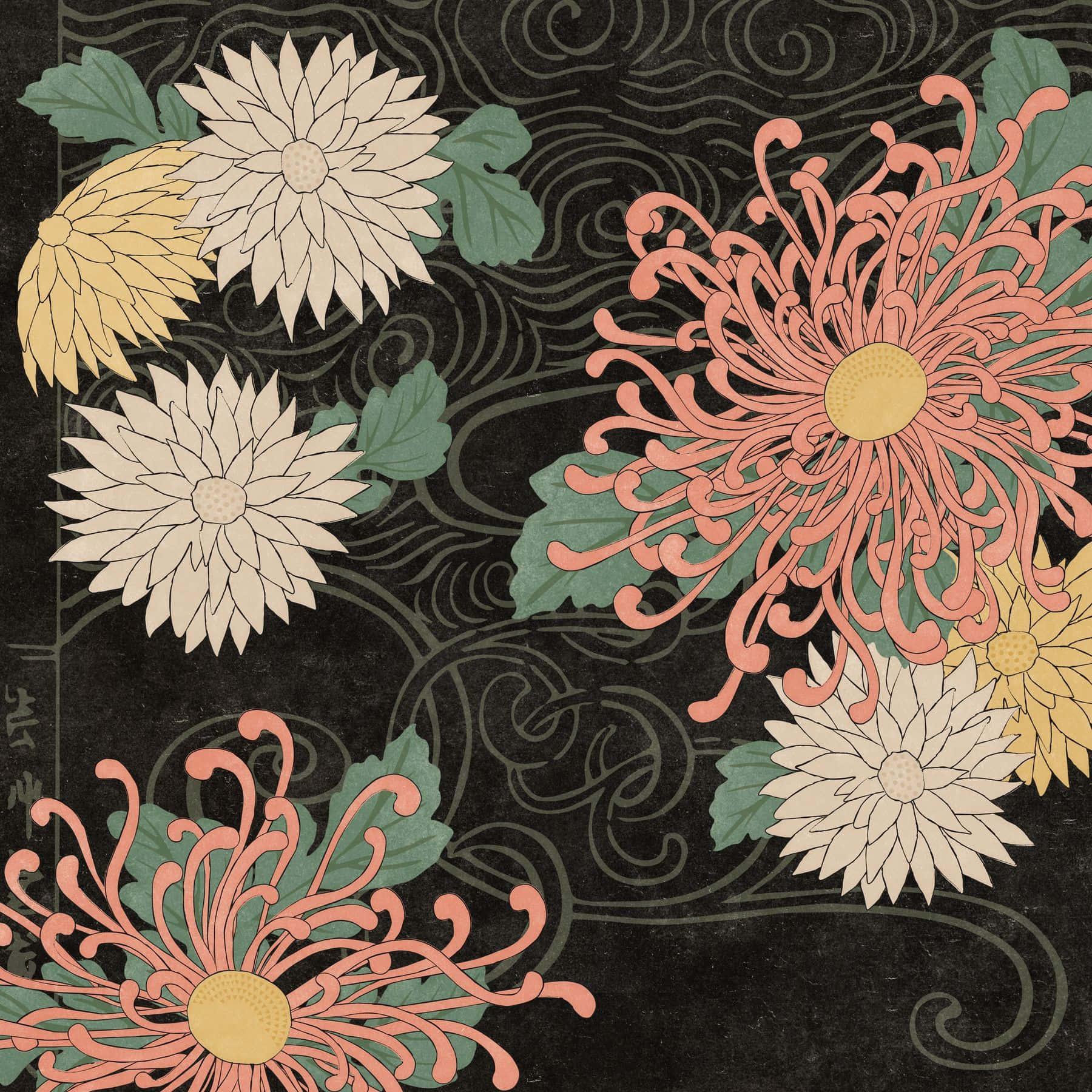 floral print, chrysanthemums, coral cream, HD Desktop Wallpaper