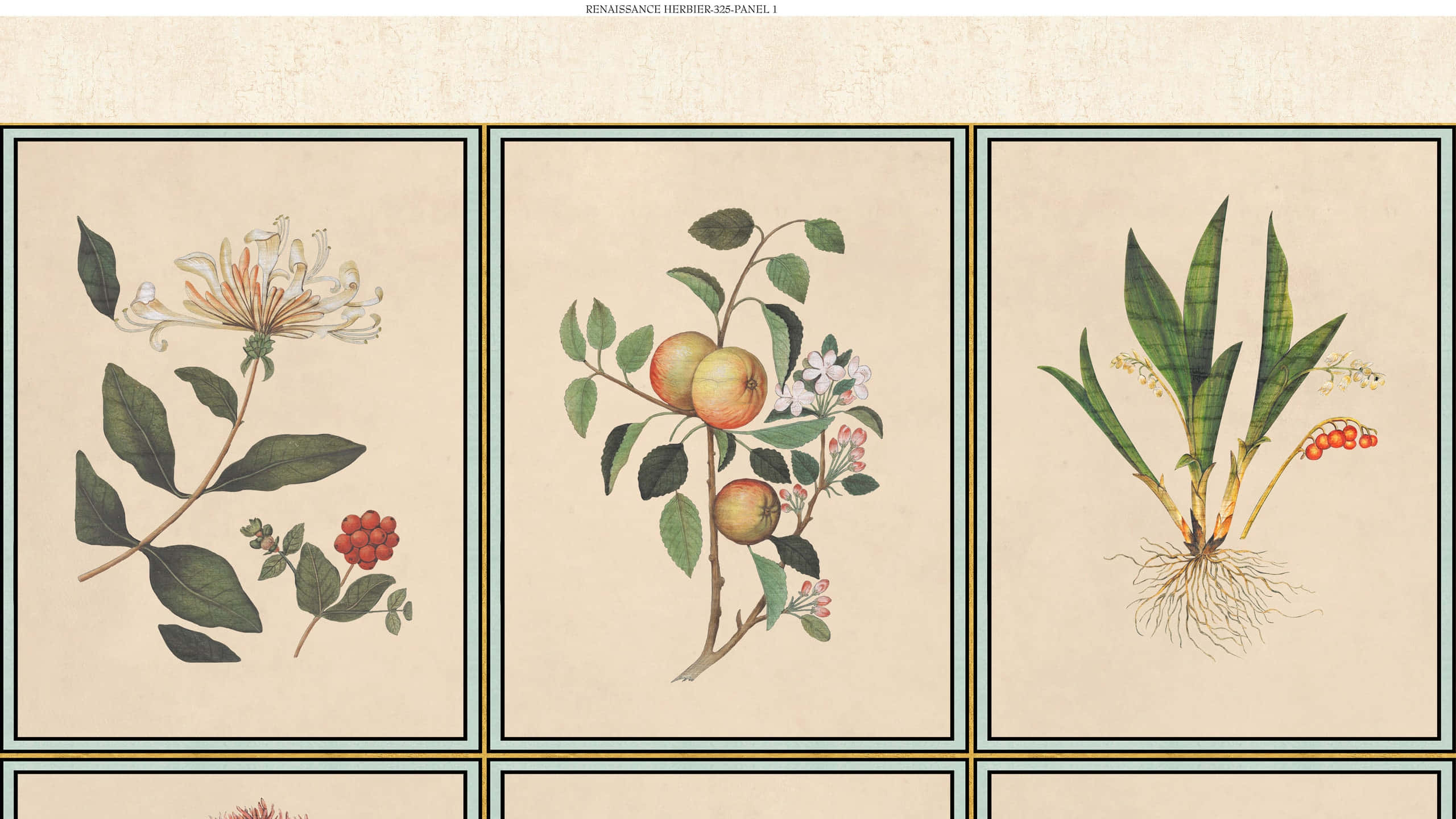 honeysuckle, apple blossoms, snake root, 2K Desktop Wallpaper