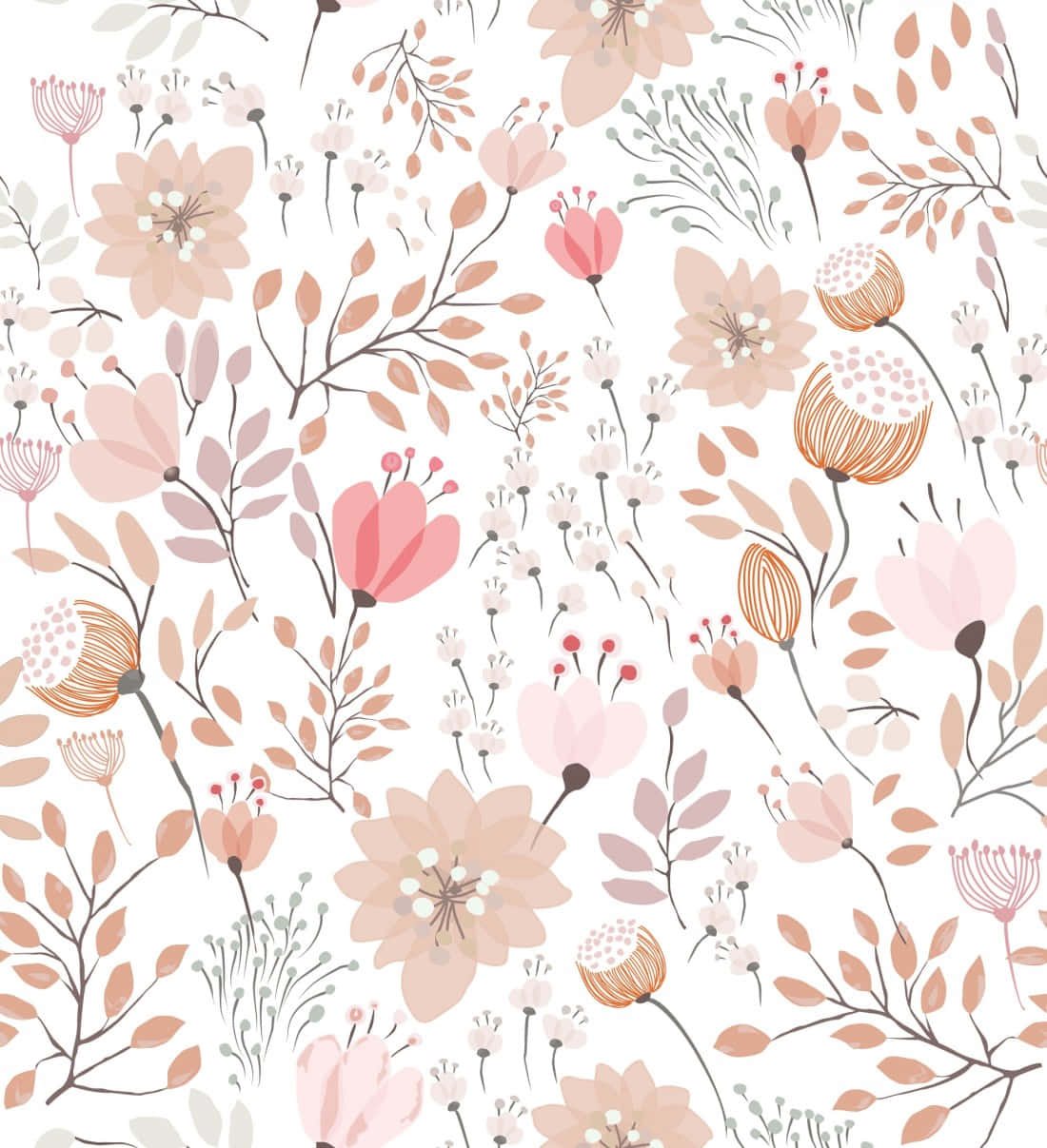 floral print, soft pink peach, brown blossoms, SD Phone Wallpaper
