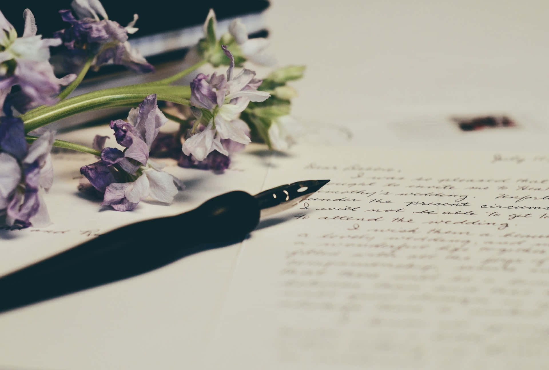 vintage inkwell and quill, purple and white flowers, black fountain pen, Full HD Desktop Wallpaper