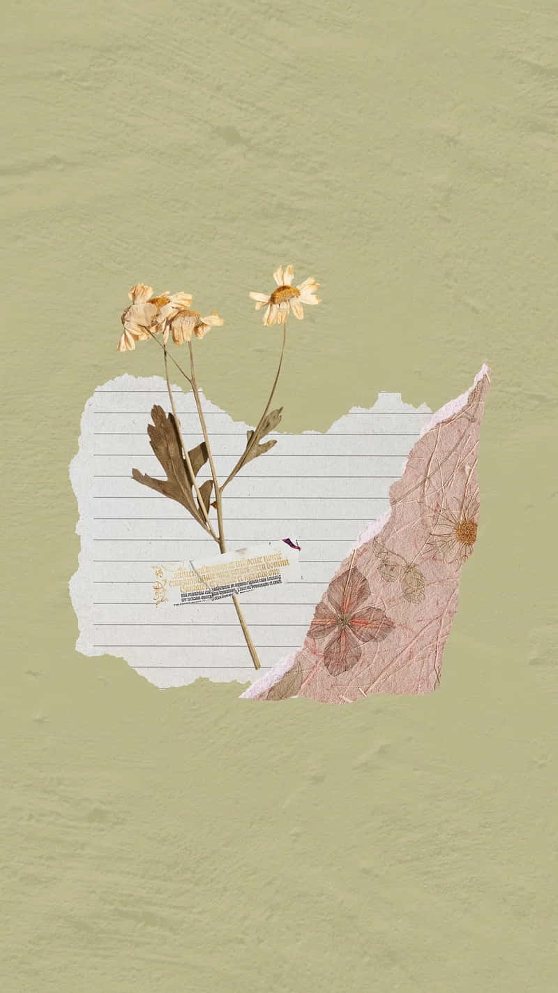dried daisies, pressed botanicals, torn lined paper, HD Phone Wallpaper
