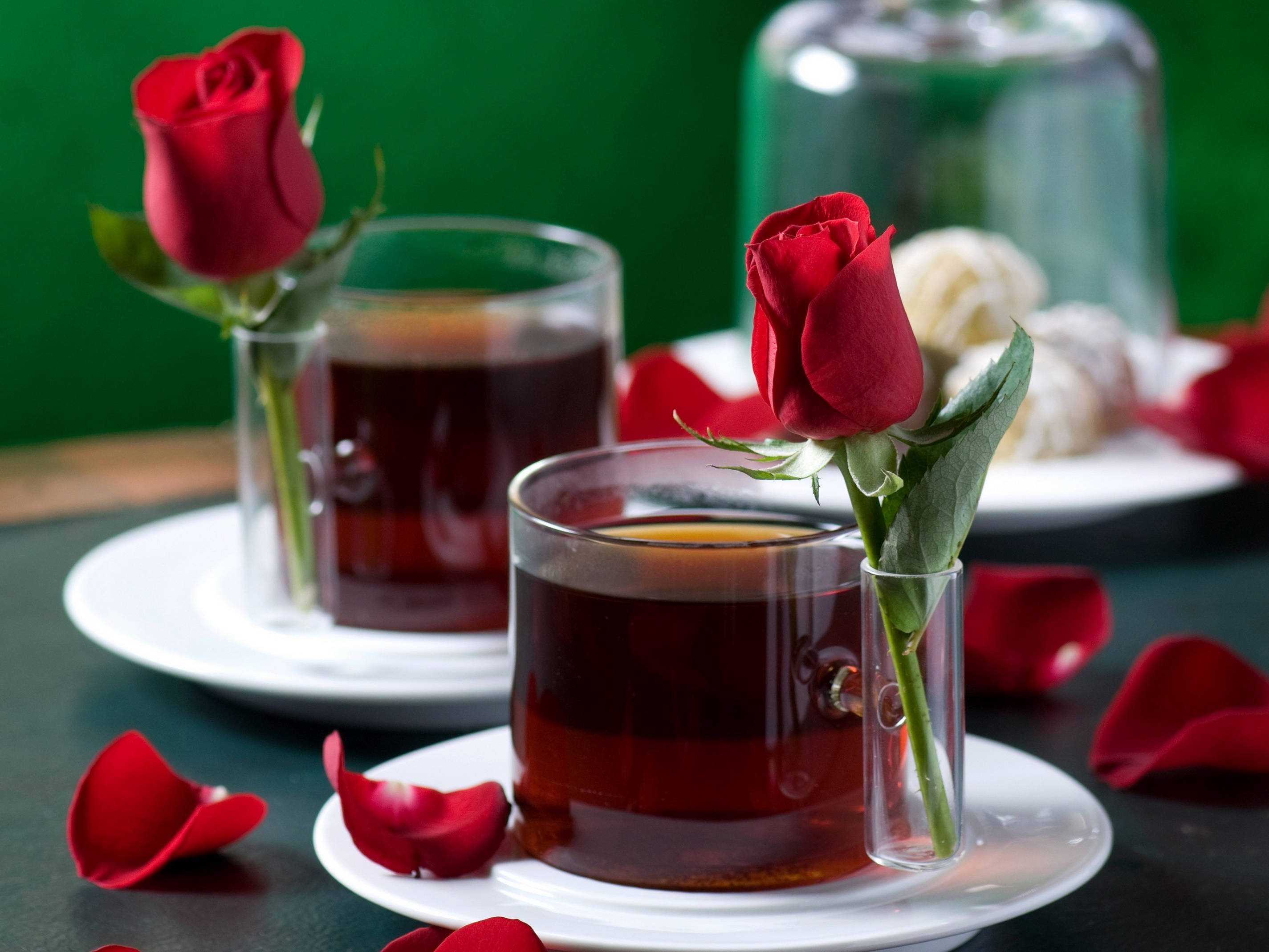 dark tea, red roses, tiny vases, 2K Desktop Wallpaper
