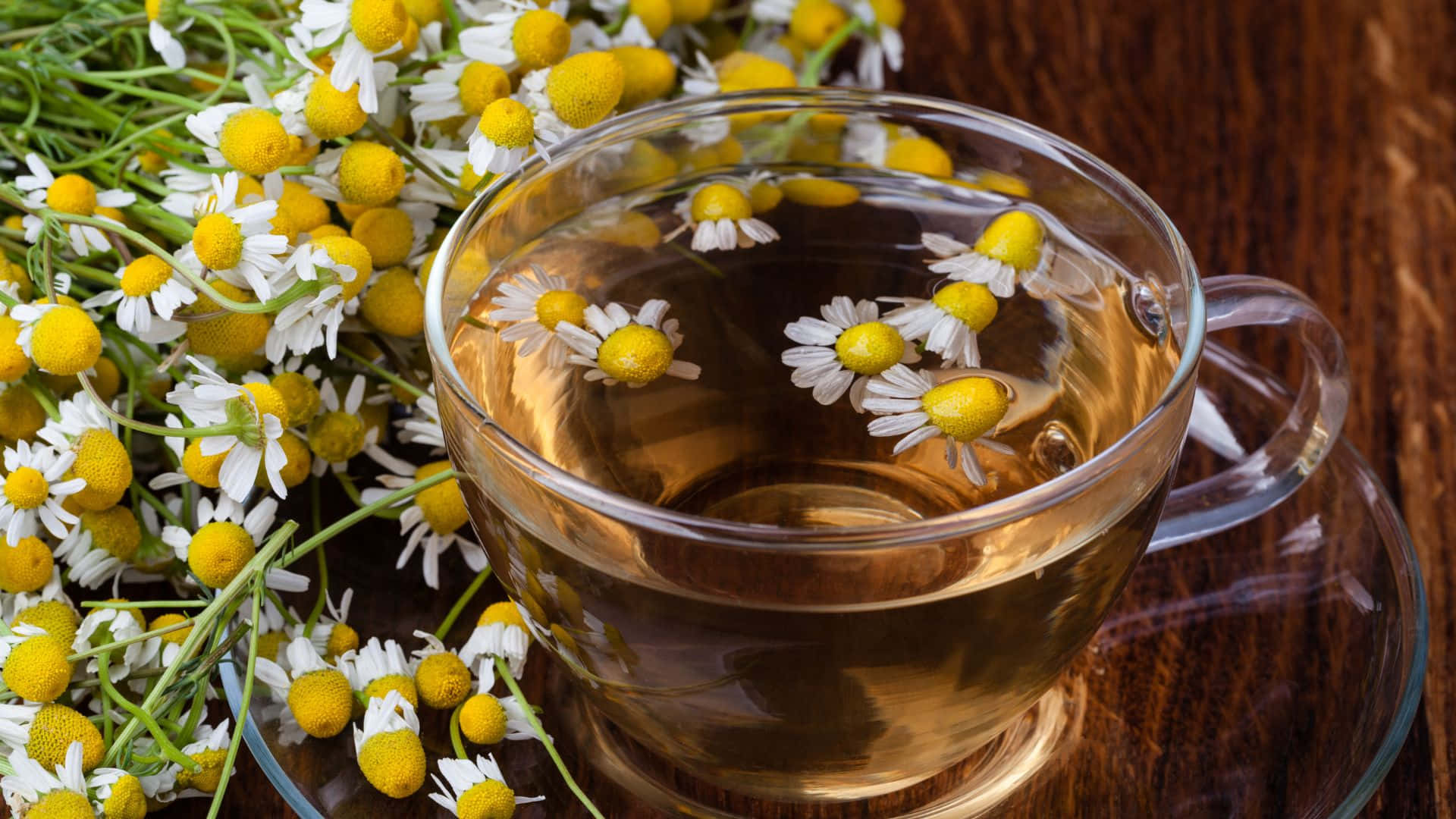 floral tea, golden chamomile tea, floating flowers, Full HD Desktop Wallpaper