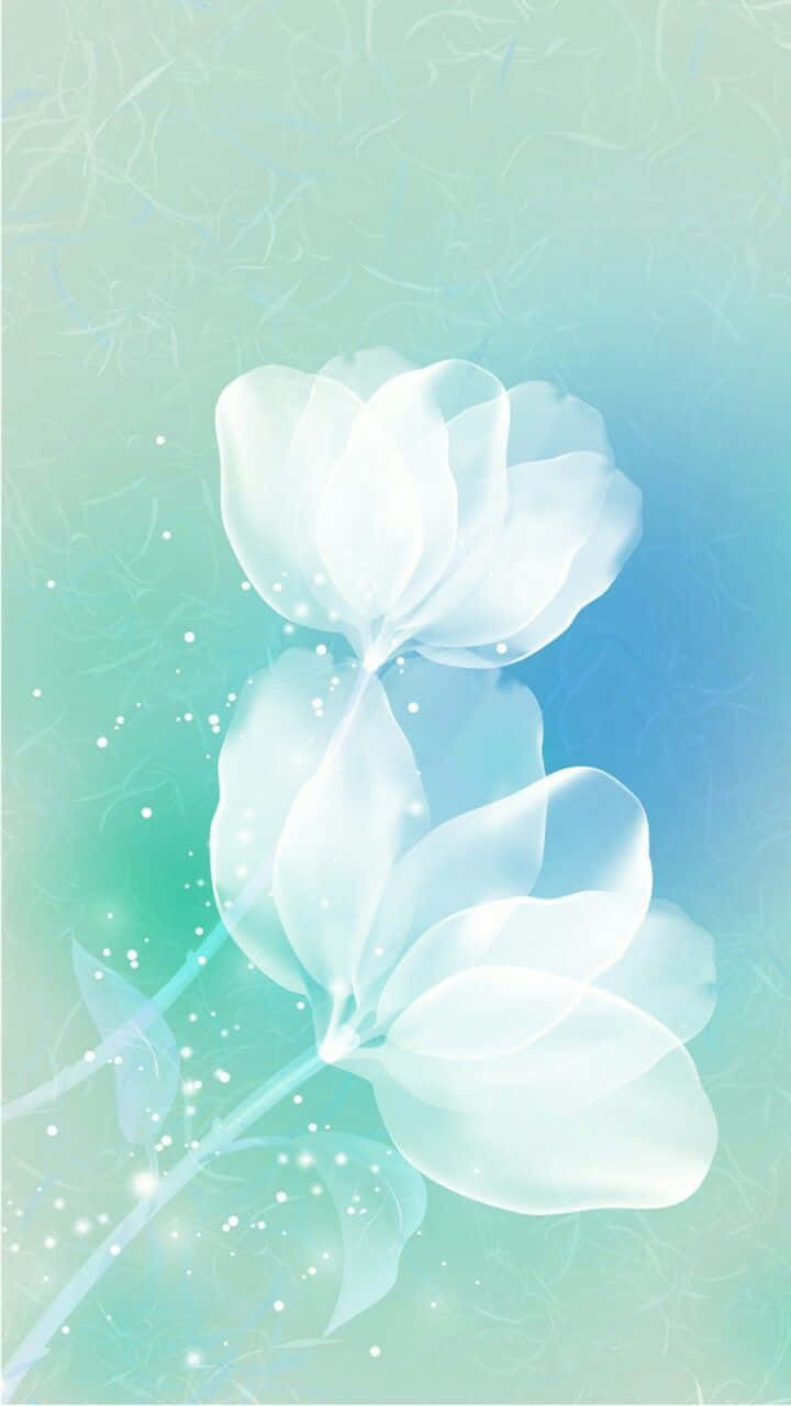 teal flower, translucent white flowers, gradient teal and blue background, HD Phone Wallpaper