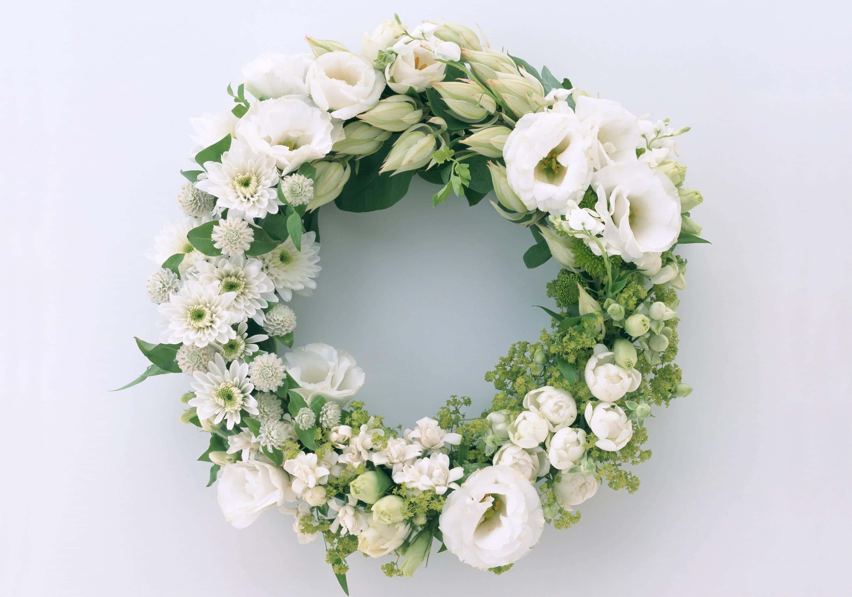 floral wreath, white flowers, greenery, 2K Desktop Wallpaper