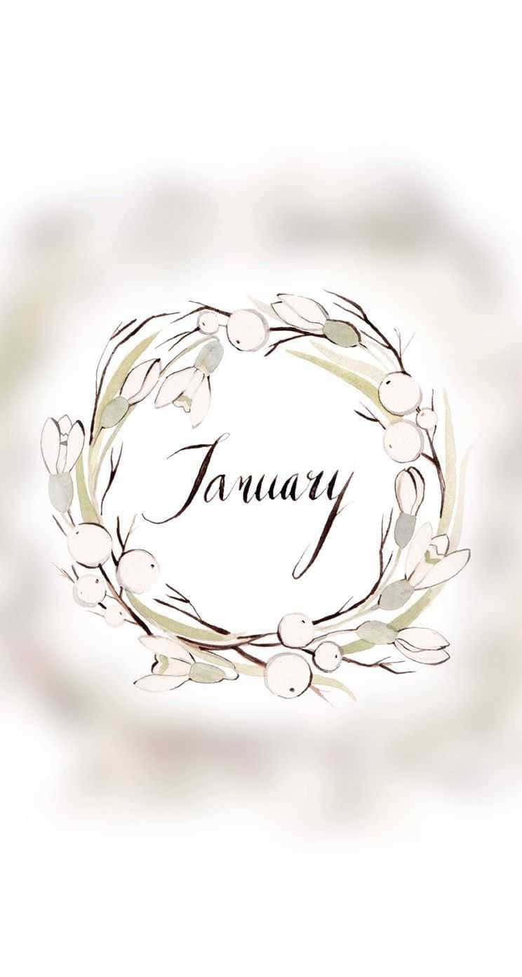 Floral Wreath, January wreath, berries, HD Phone Wallpaper