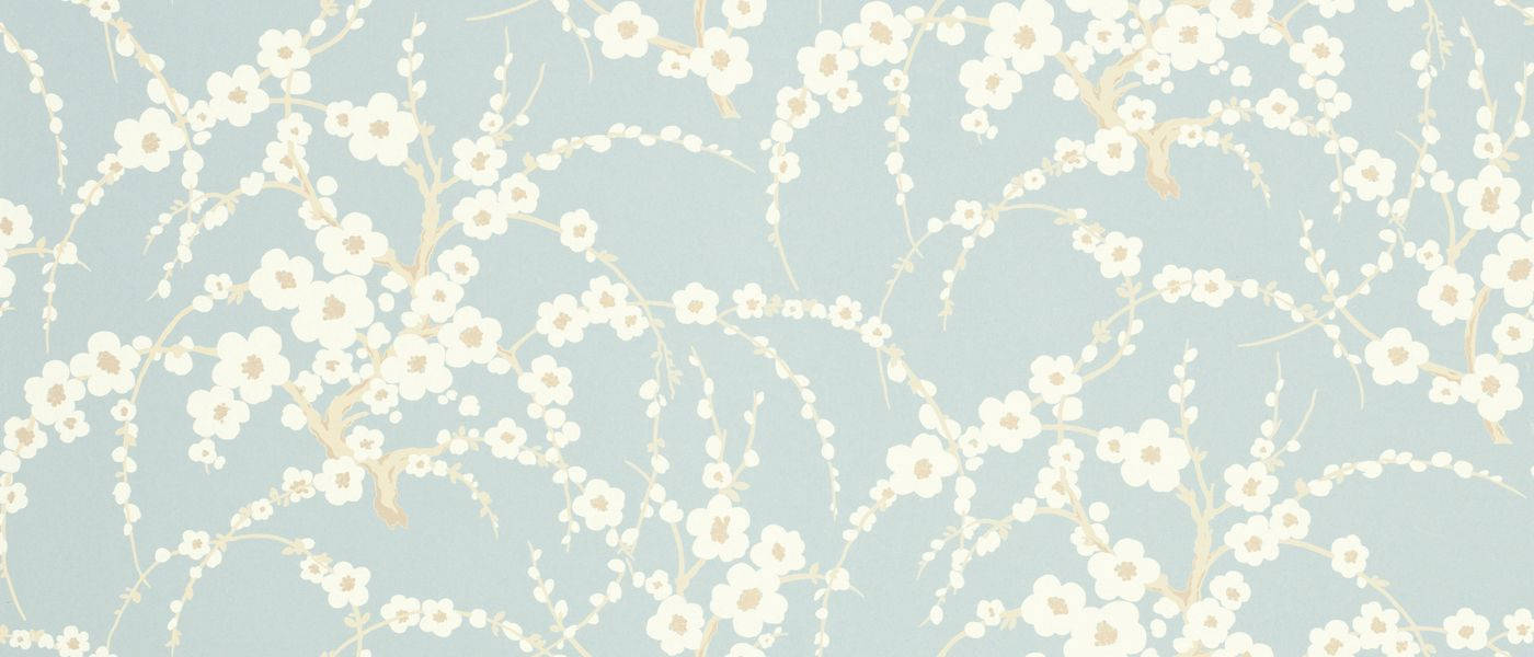 white cherry blossoms, gold stems, soft blue wallpaper, HD Desktop Wallpaper
