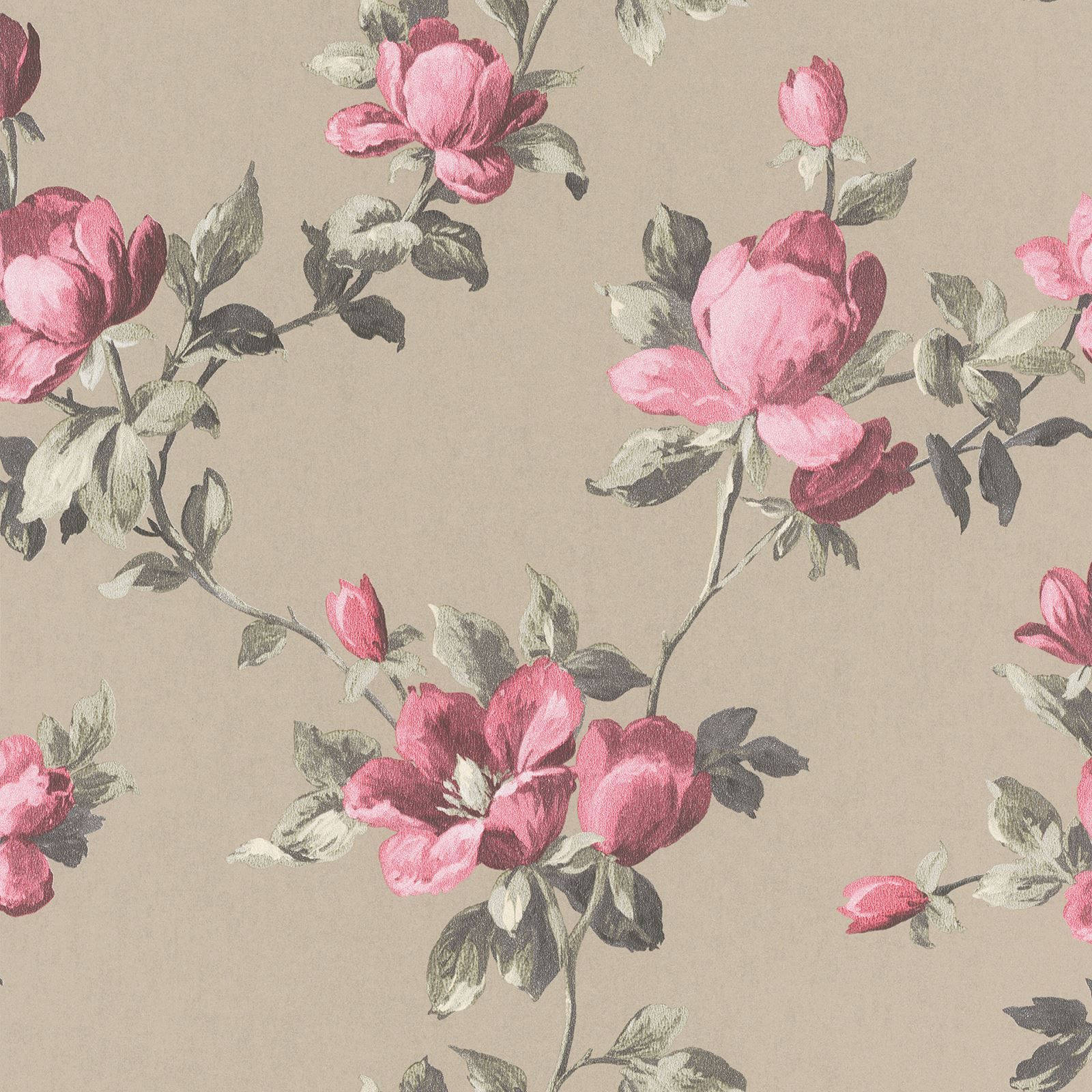 pale pink, pink peonies, green leaves, HD Desktop Wallpaper