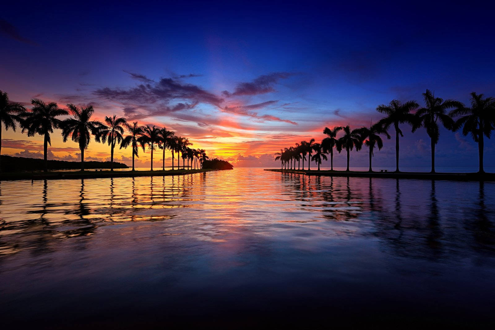 Florida Beach, sunset, coconut trees, HD Desktop Wallpaper