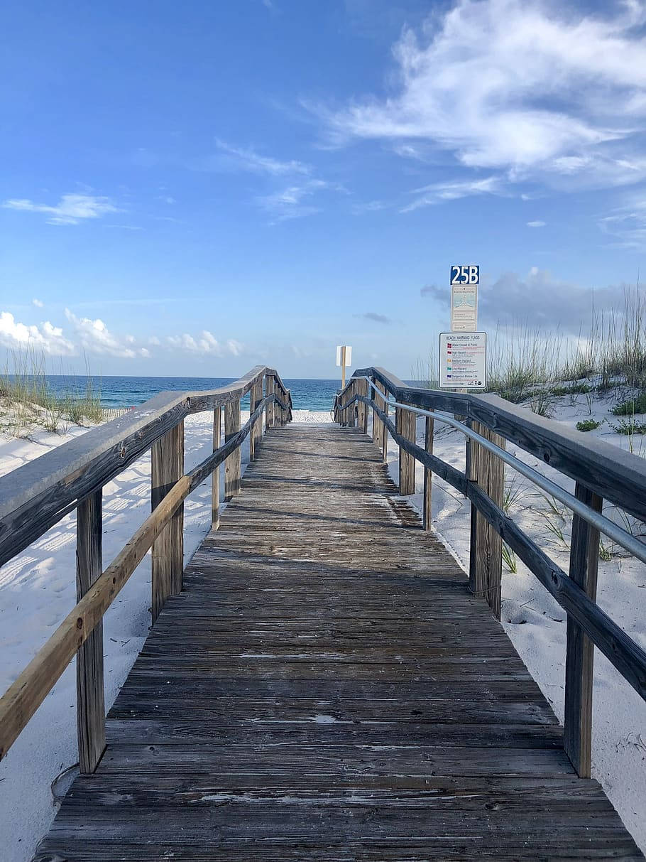 Florida Beach, wooden boardwalk, white sand dunes, SD Phone Wallpaper