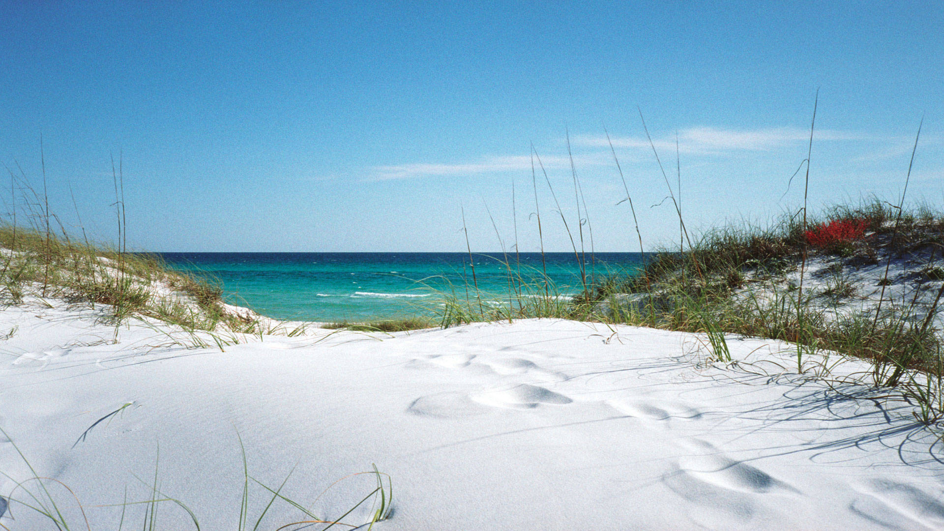 Florida Beach, fine white sand, turquoise ocean, Full HD Desktop Wallpaper