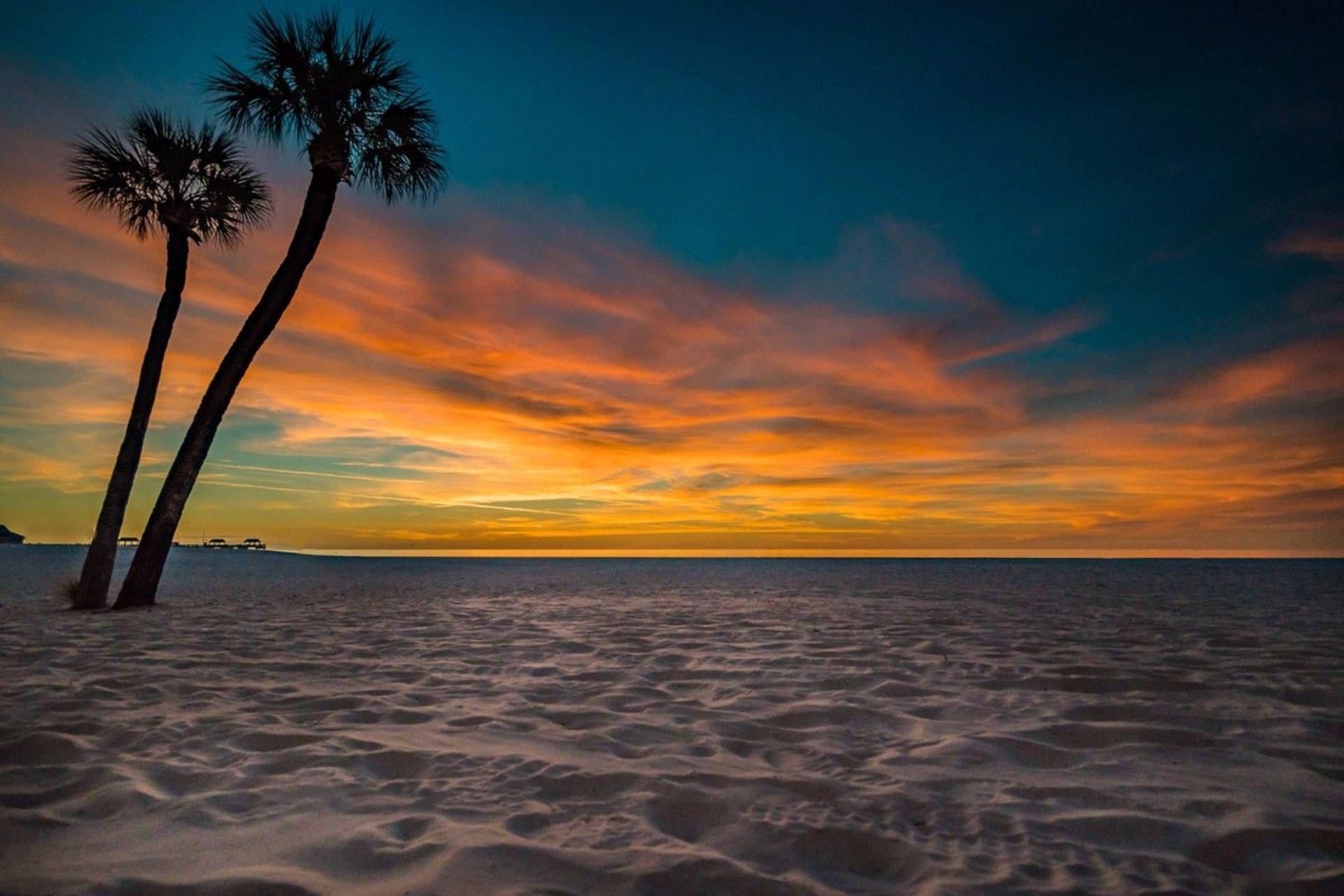 Florida Beach, palm trees, sandy beach, Full HD Desktop Wallpaper