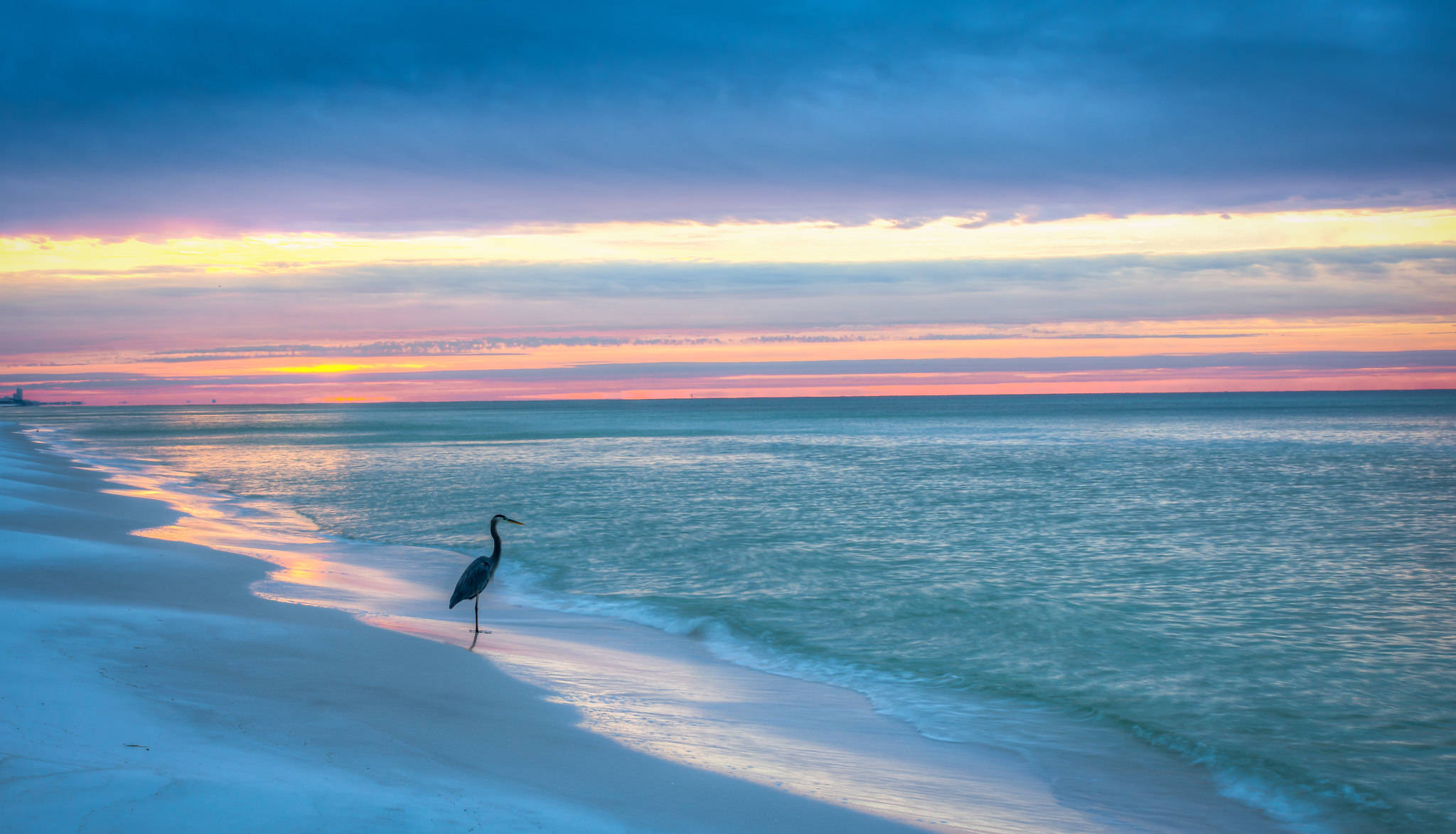 Florida Beach, lone heron, sunset, Full HD Desktop Wallpaper