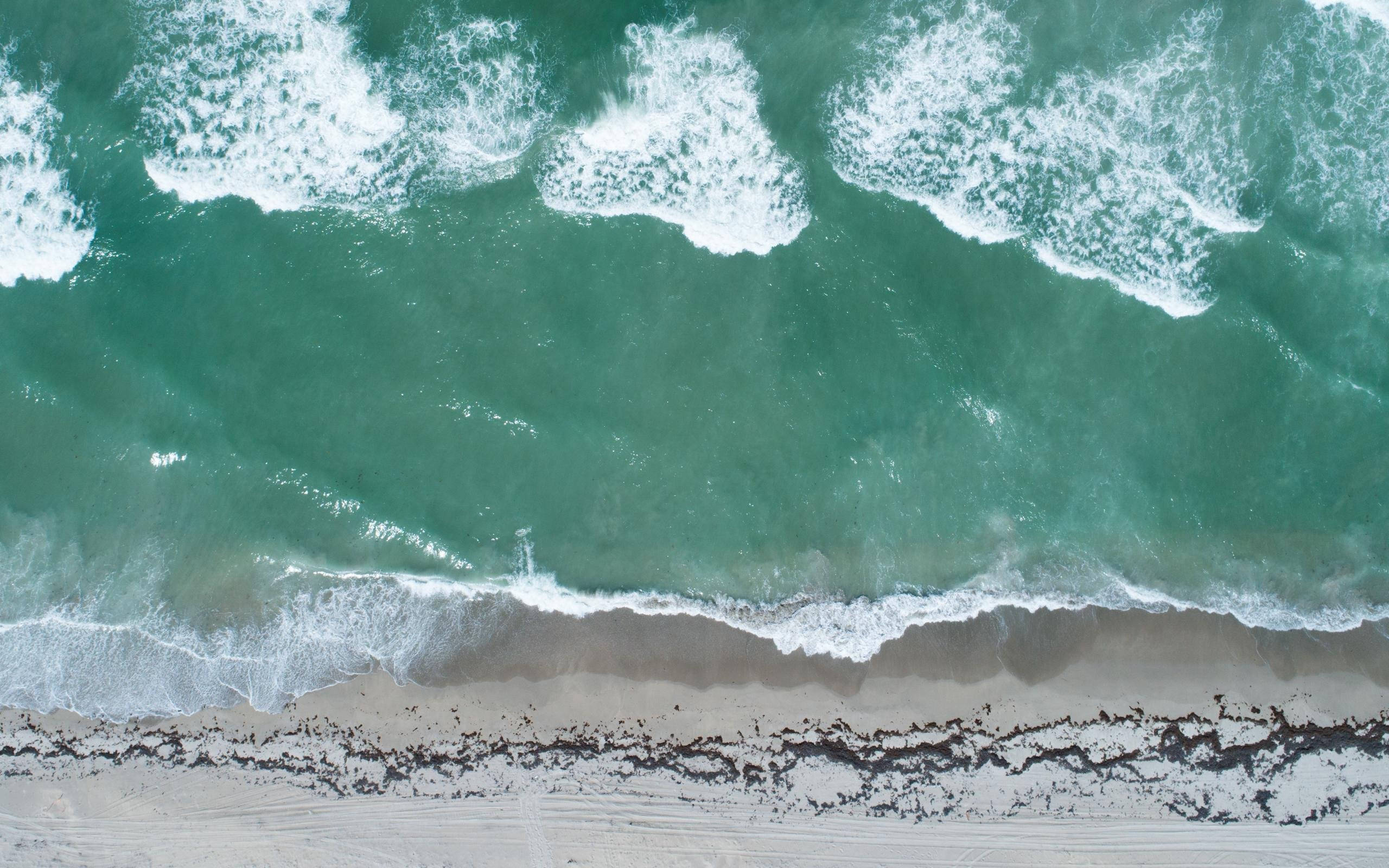 Florida Beach, turquoise ocean, sandy beach, 2K Desktop Wallpaper