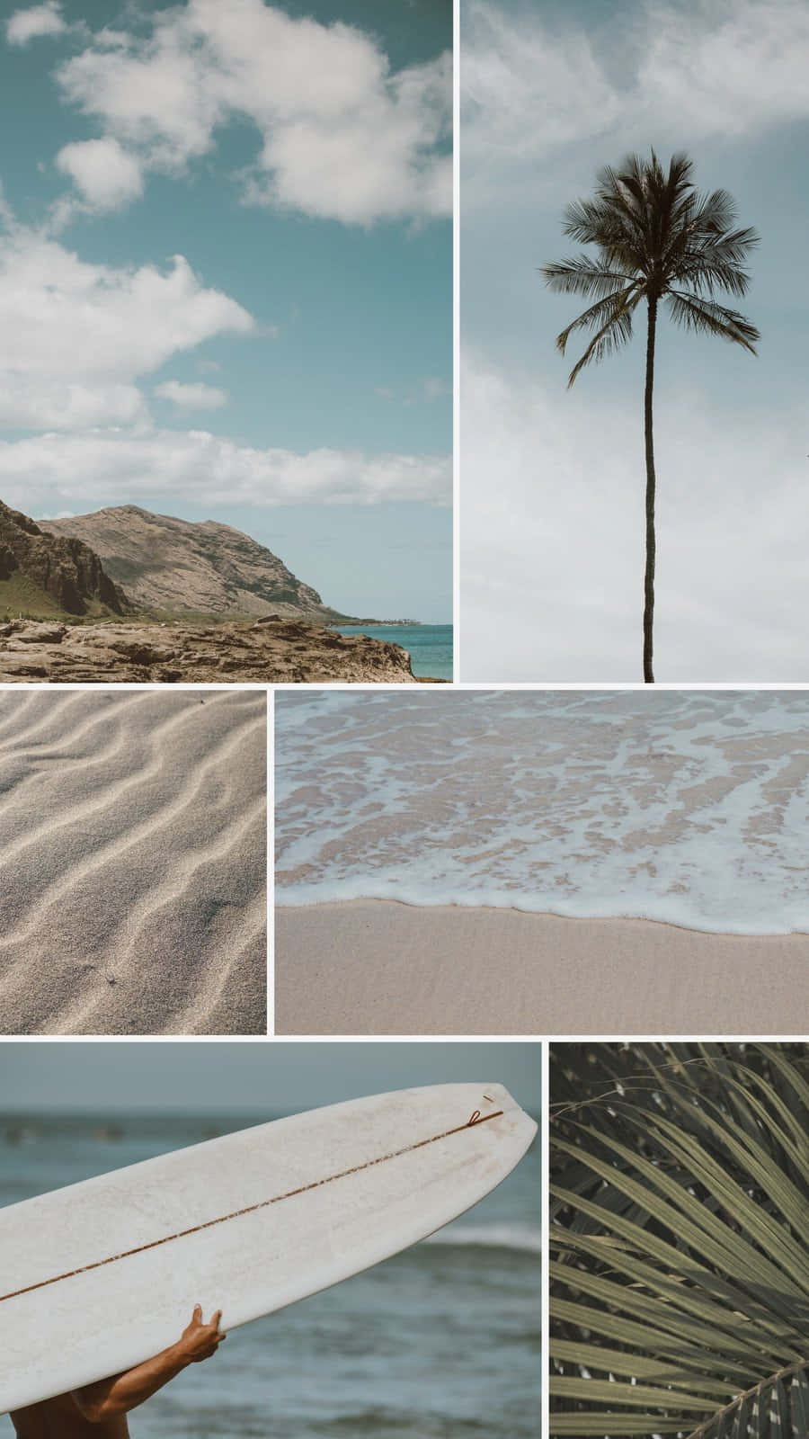 tropical beach, palm tree, rocky coastline, HD Phone Wallpaper