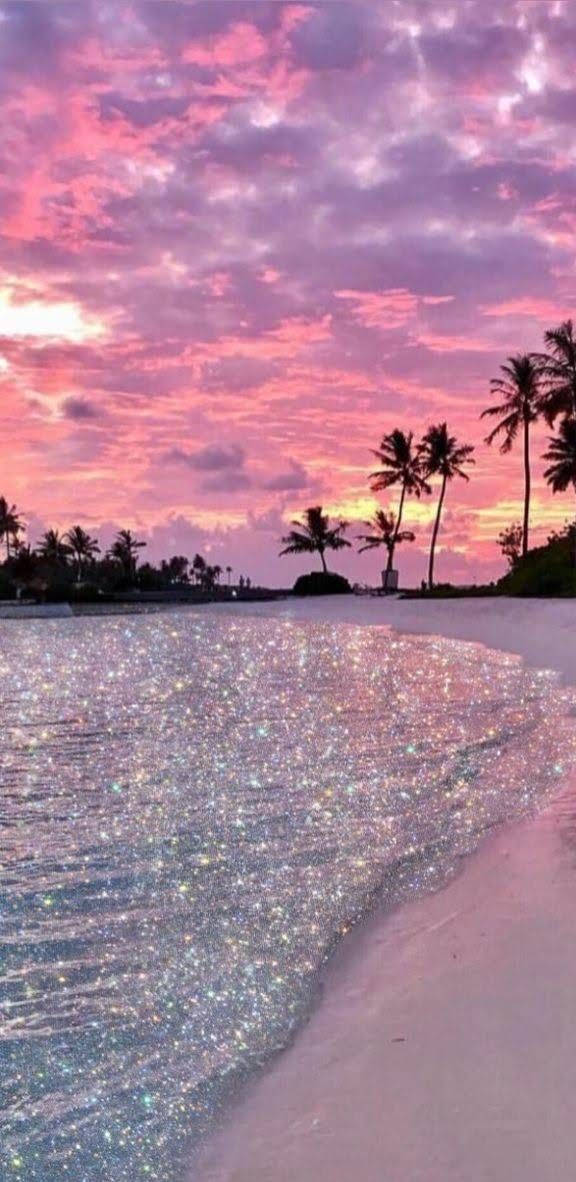 Florida Beach, sparkling pink sunset, tropical beach, SD Phone Wallpaper
