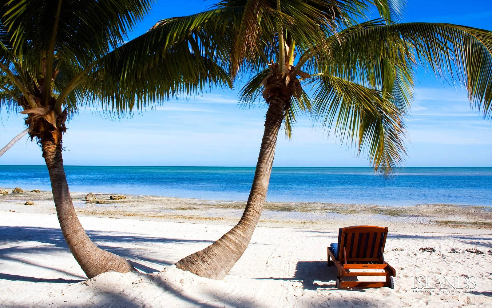 Florida Beach, lone wooden lounge chair, two leaning palm trees, HD Desktop Wallpaper