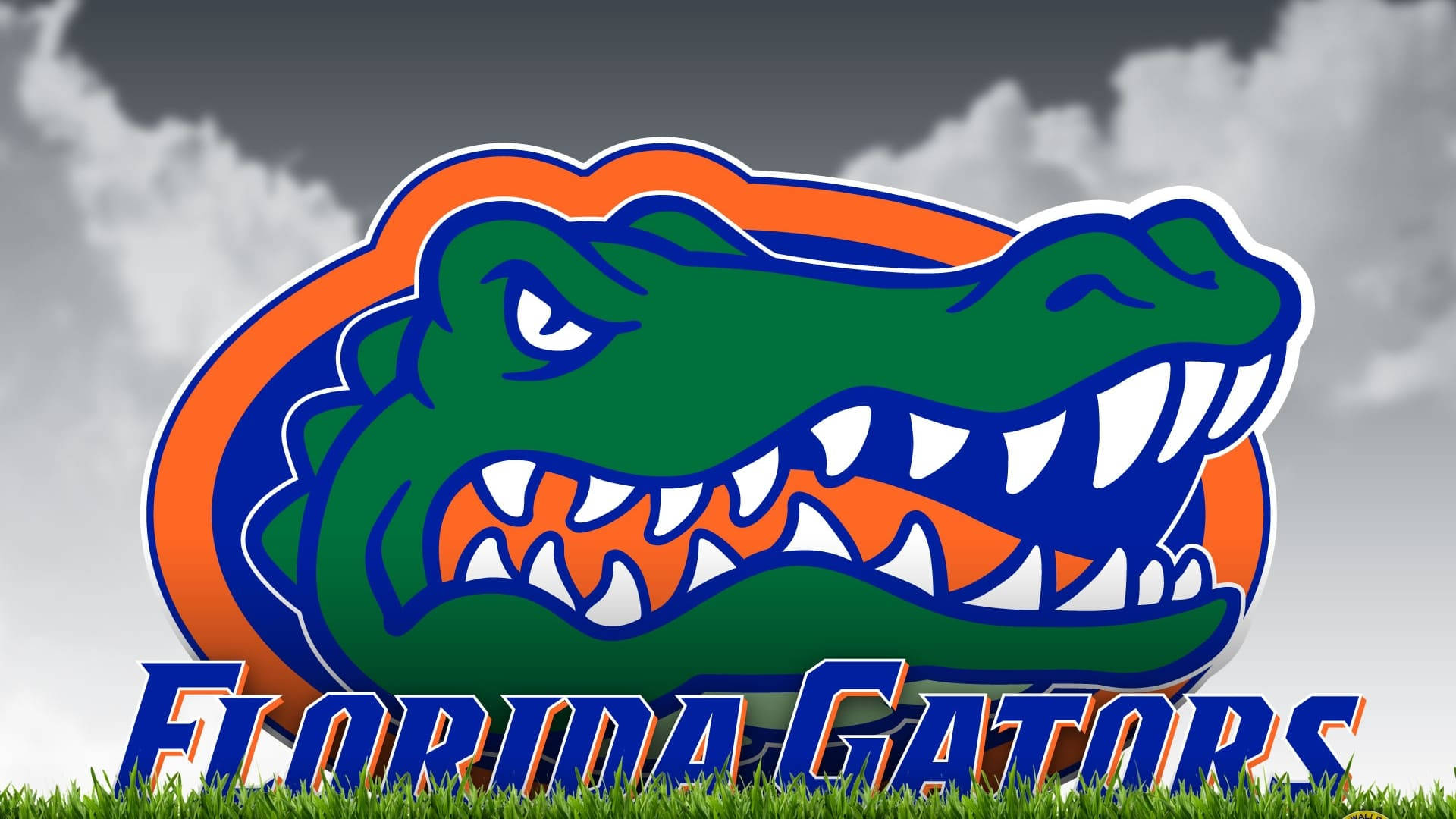 Florida Gators, alligator mascot logo, green and orange, Full HD Desktop Wallpaper
