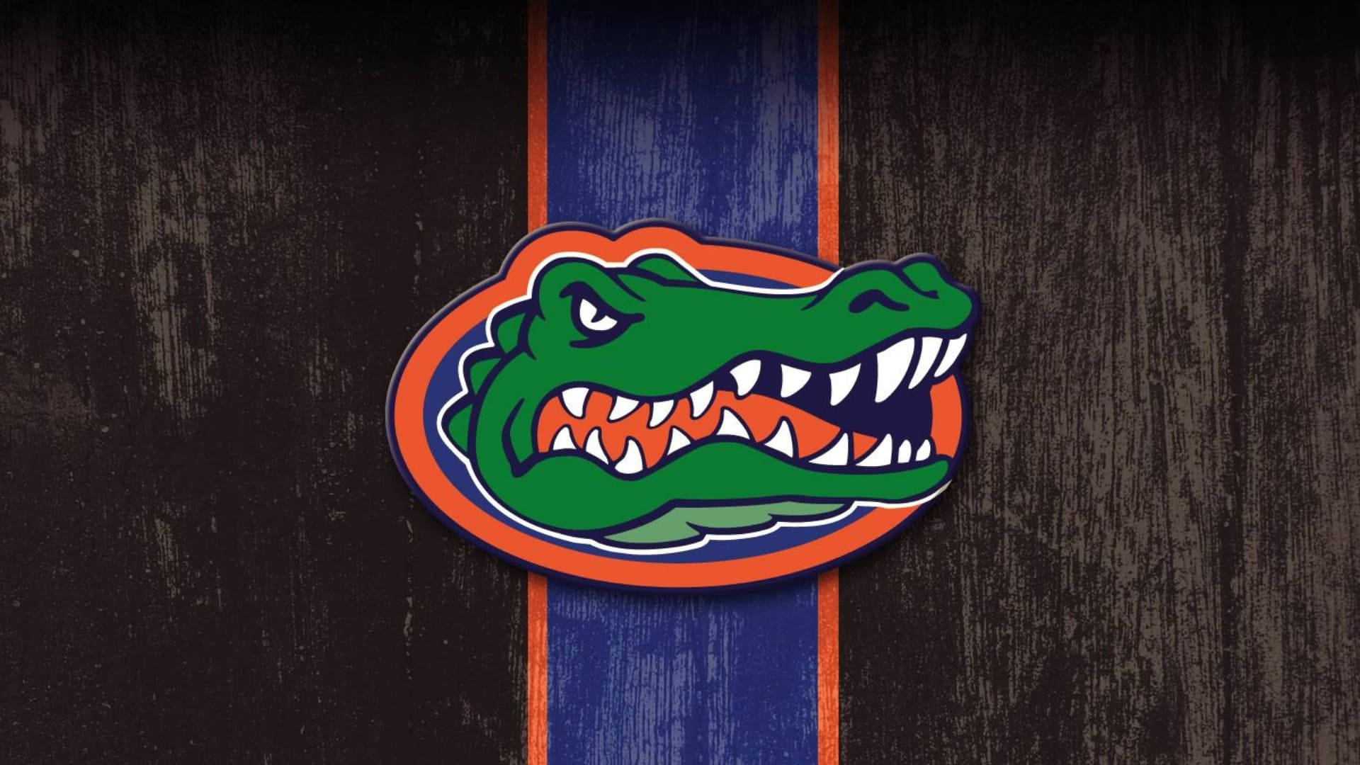 vintage florida gators logo, green alligator mascot, orange and blue accents, Full HD Desktop Wallpaper