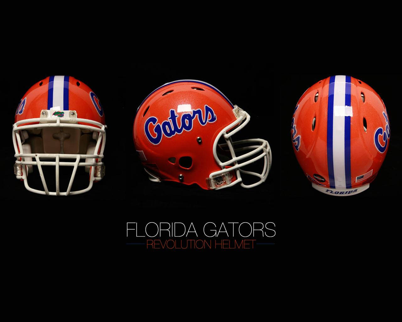 Florida Gators, helmet revolution, football helmets, HD Desktop Wallpaper