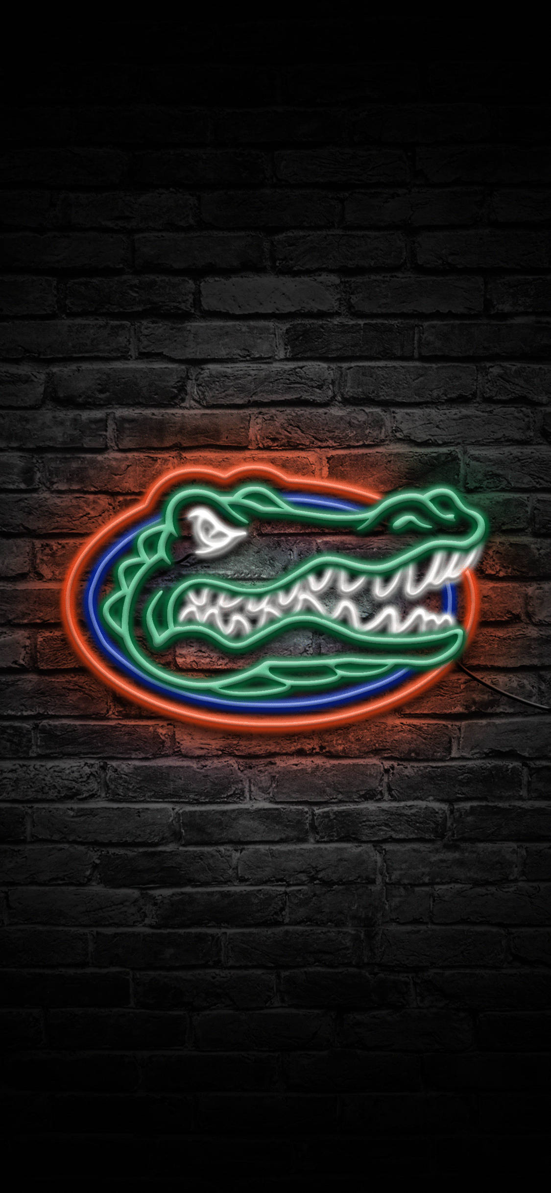 Florida Gators, neon lights, green, Full HD Phone Wallpaper