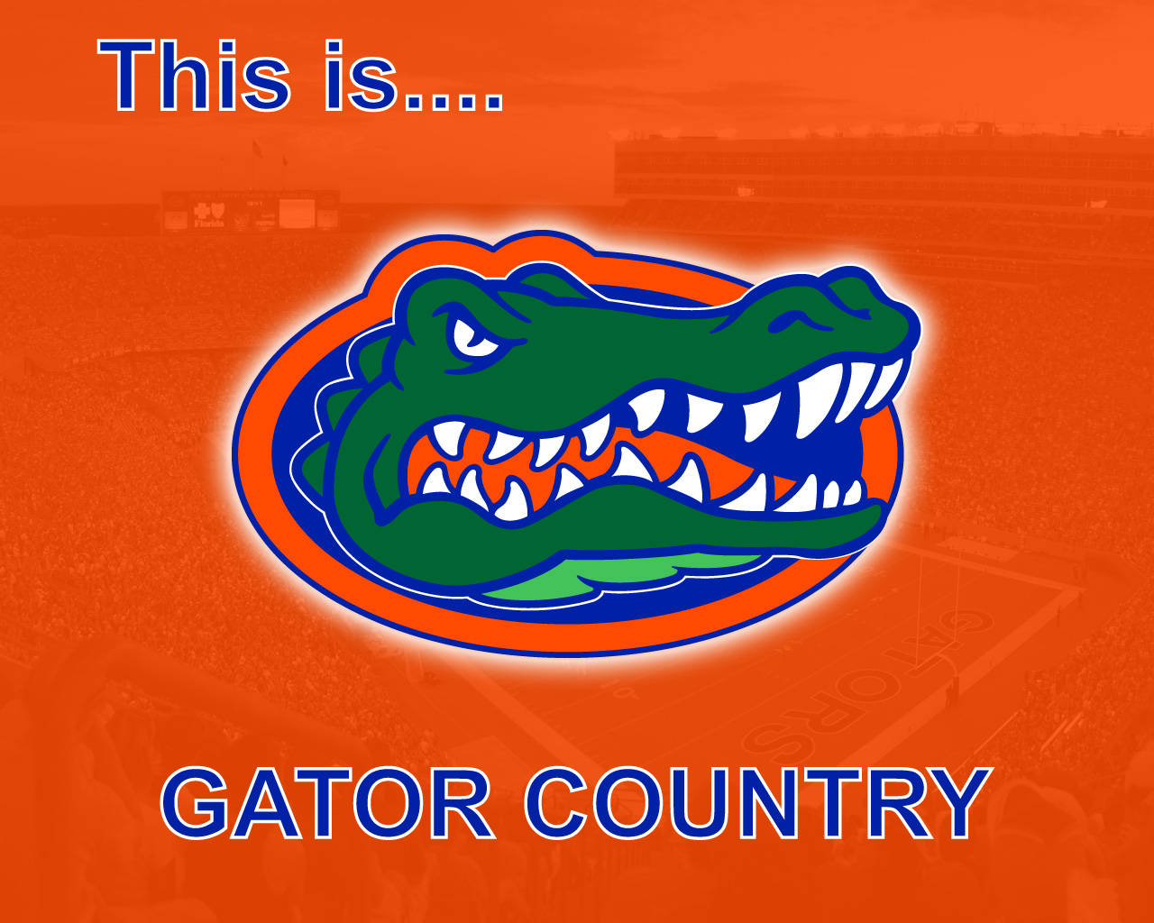 Florida Gators, orange logo, green gator logo, HD Desktop Wallpaper