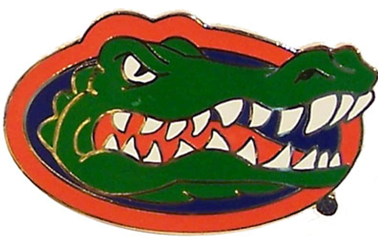 Florida Gators, enamel pin, green alligator, HD Desktop Wallpaper