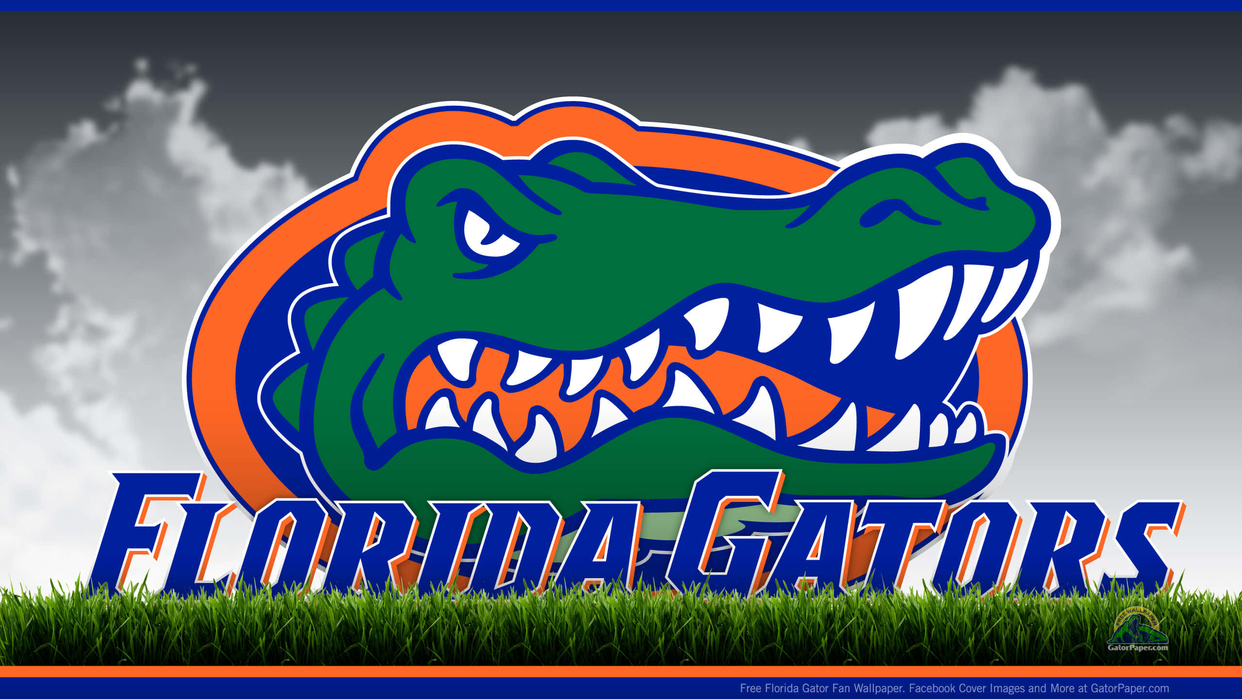 Florida Gators logo, green alligator, orange and blue accents, 2K Desktop Wallpaper