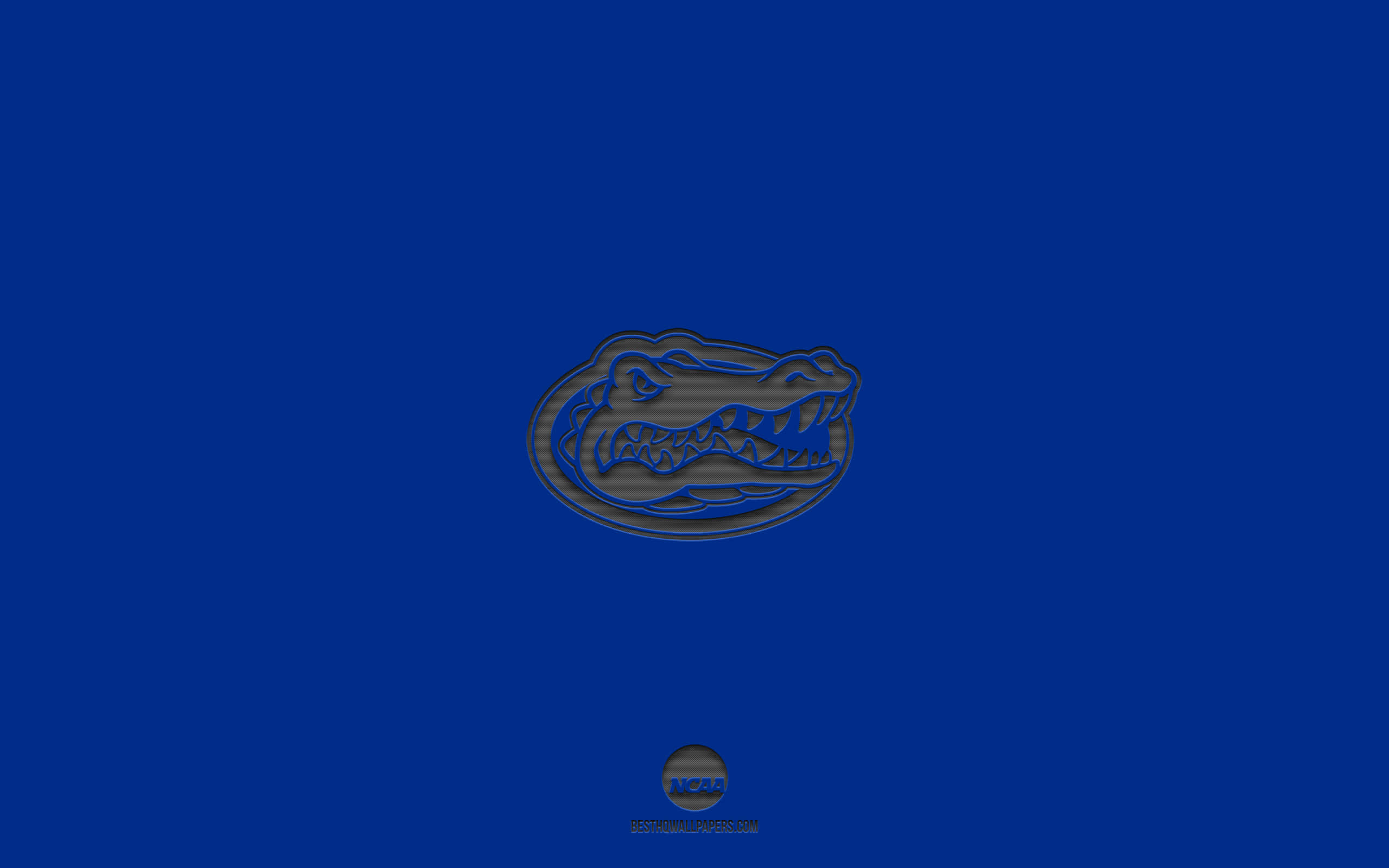 Florida Gators, gray, blue background, 2K Desktop Wallpaper
