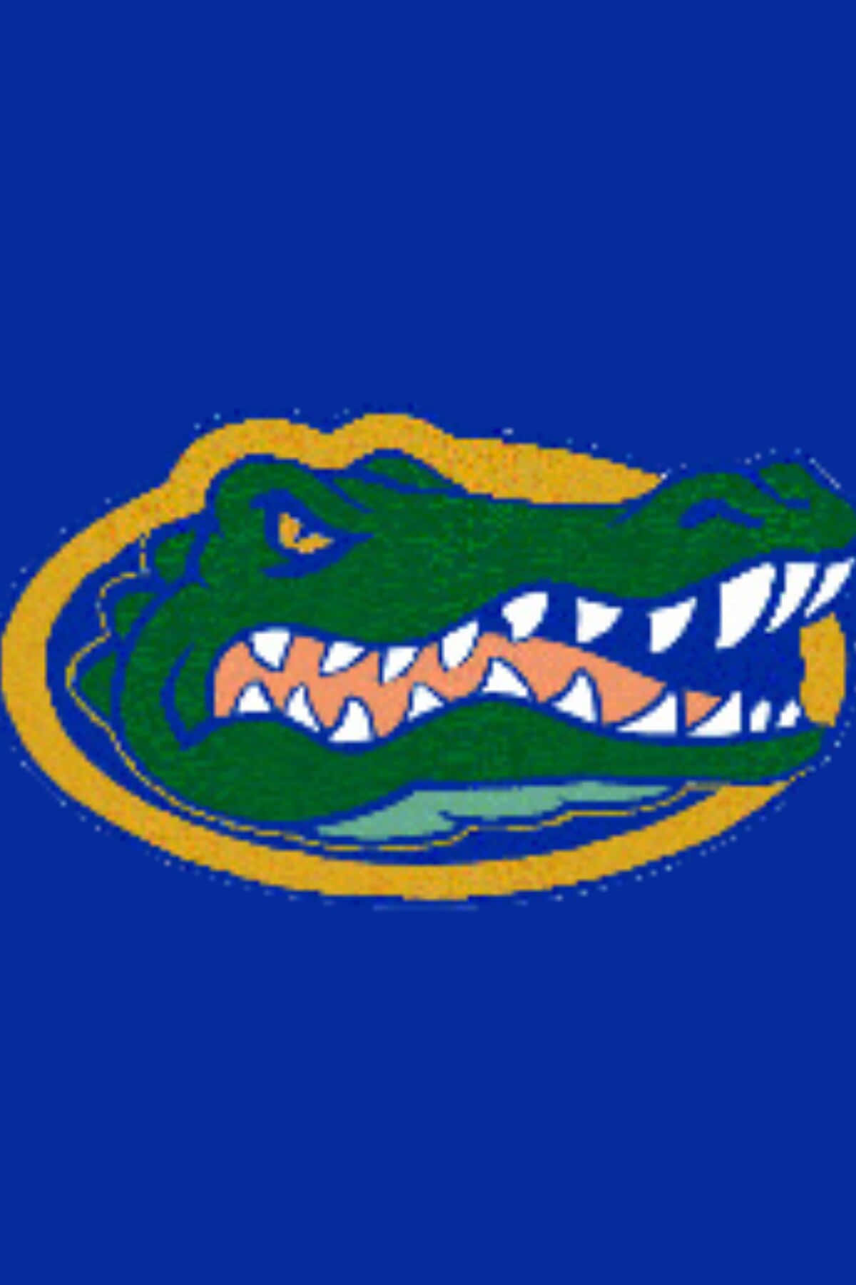 Florida Gators, green alligator mascot, white teeth, HD Phone Wallpaper