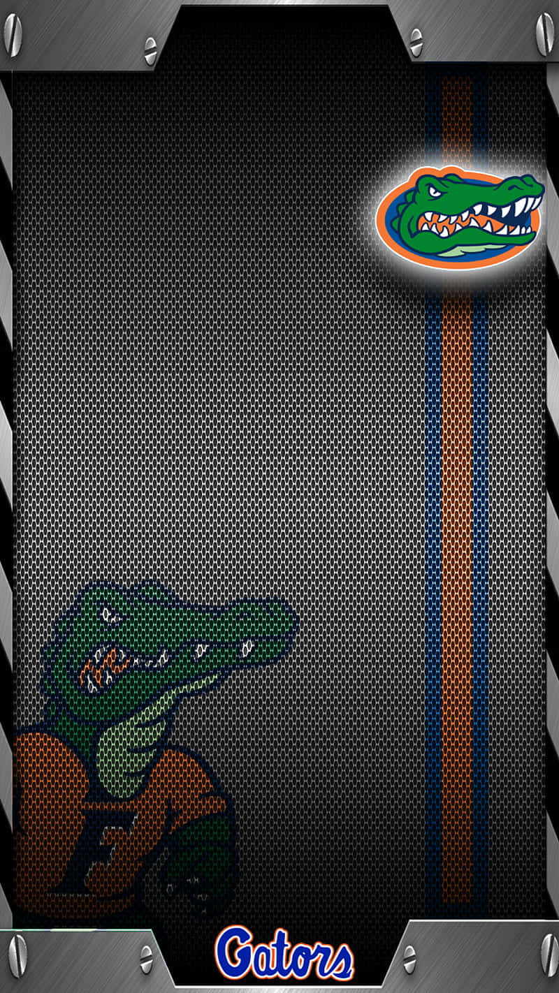Florida Gators, orange and blue gear, dark mesh background, HD Phone Wallpaper