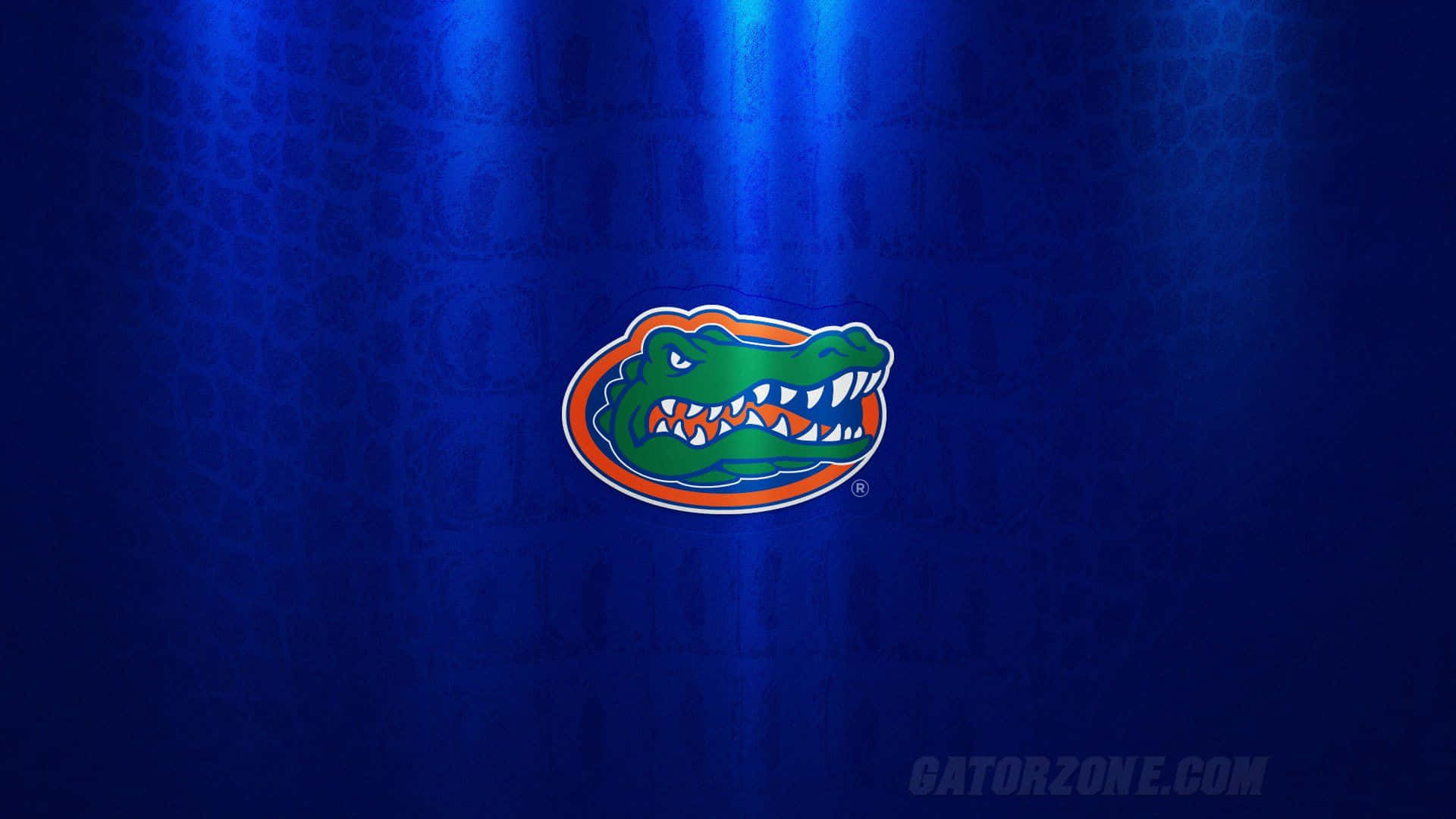 Florida Gators, green gator logo, orange and white trim, Full HD Desktop Wallpaper