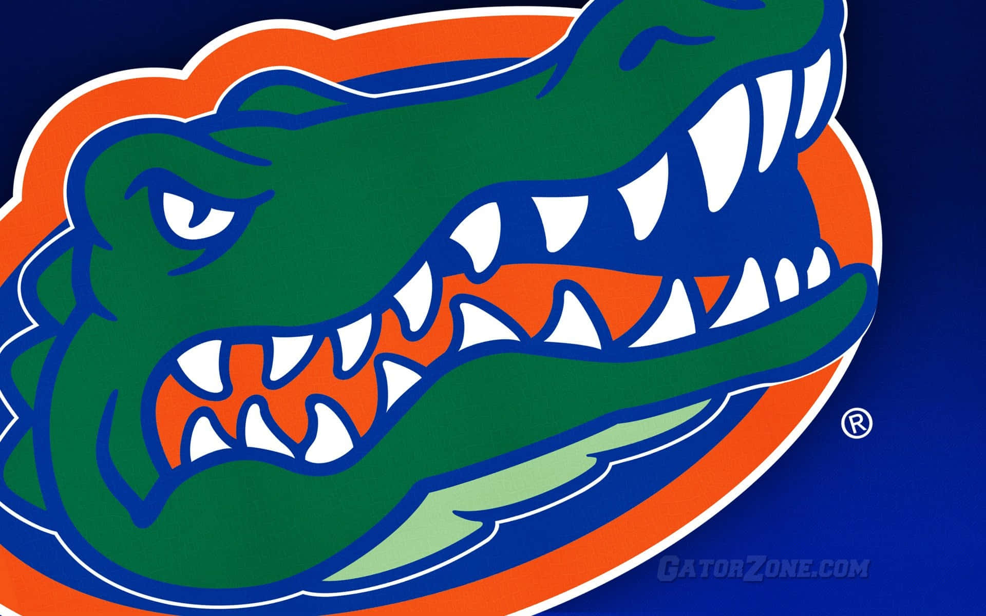 Florida Gators, green alligator mascot, white teeth, Full HD Desktop Wallpaper