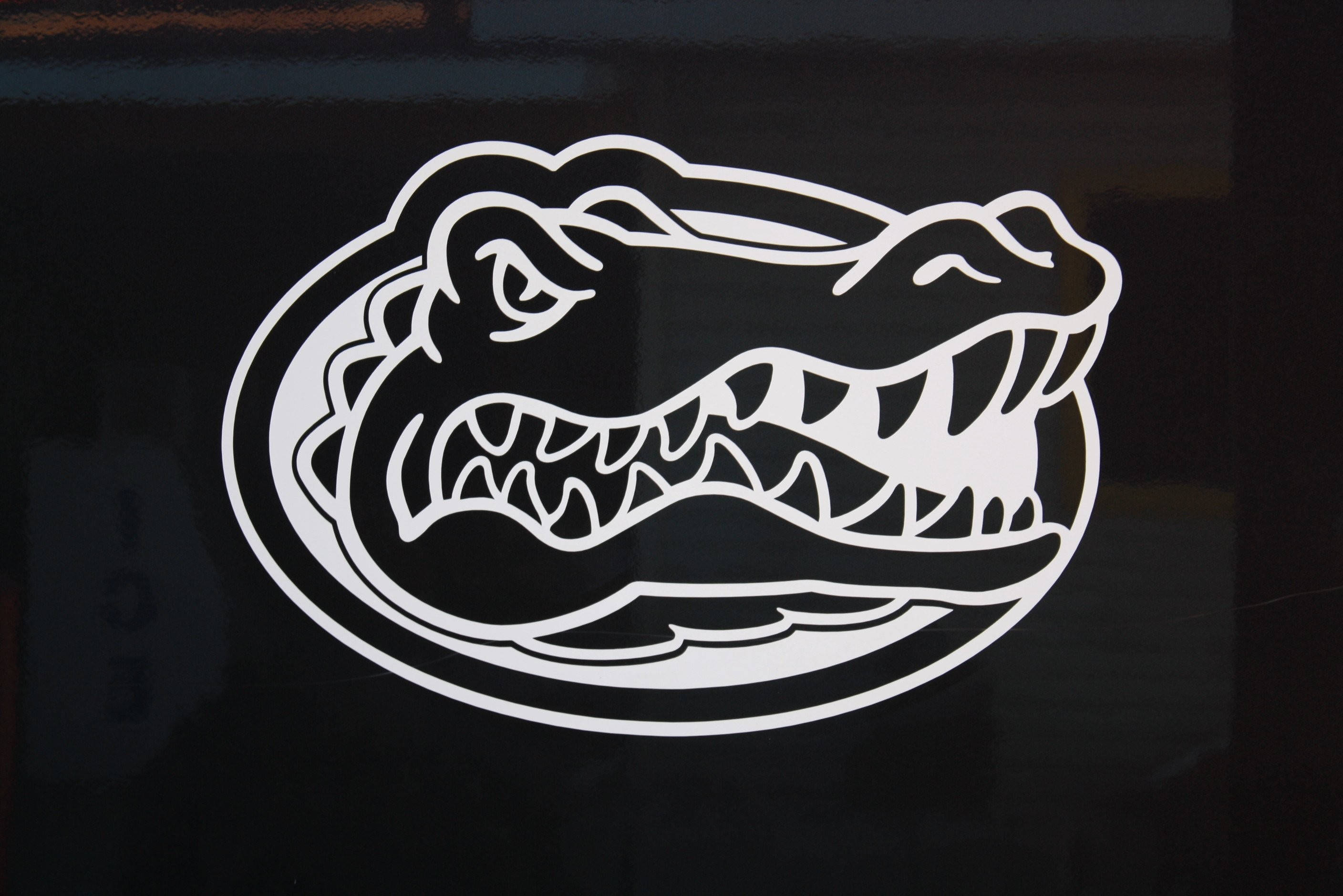 Florida Gators, dark logo, white alligator logo, 2K Desktop Wallpaper