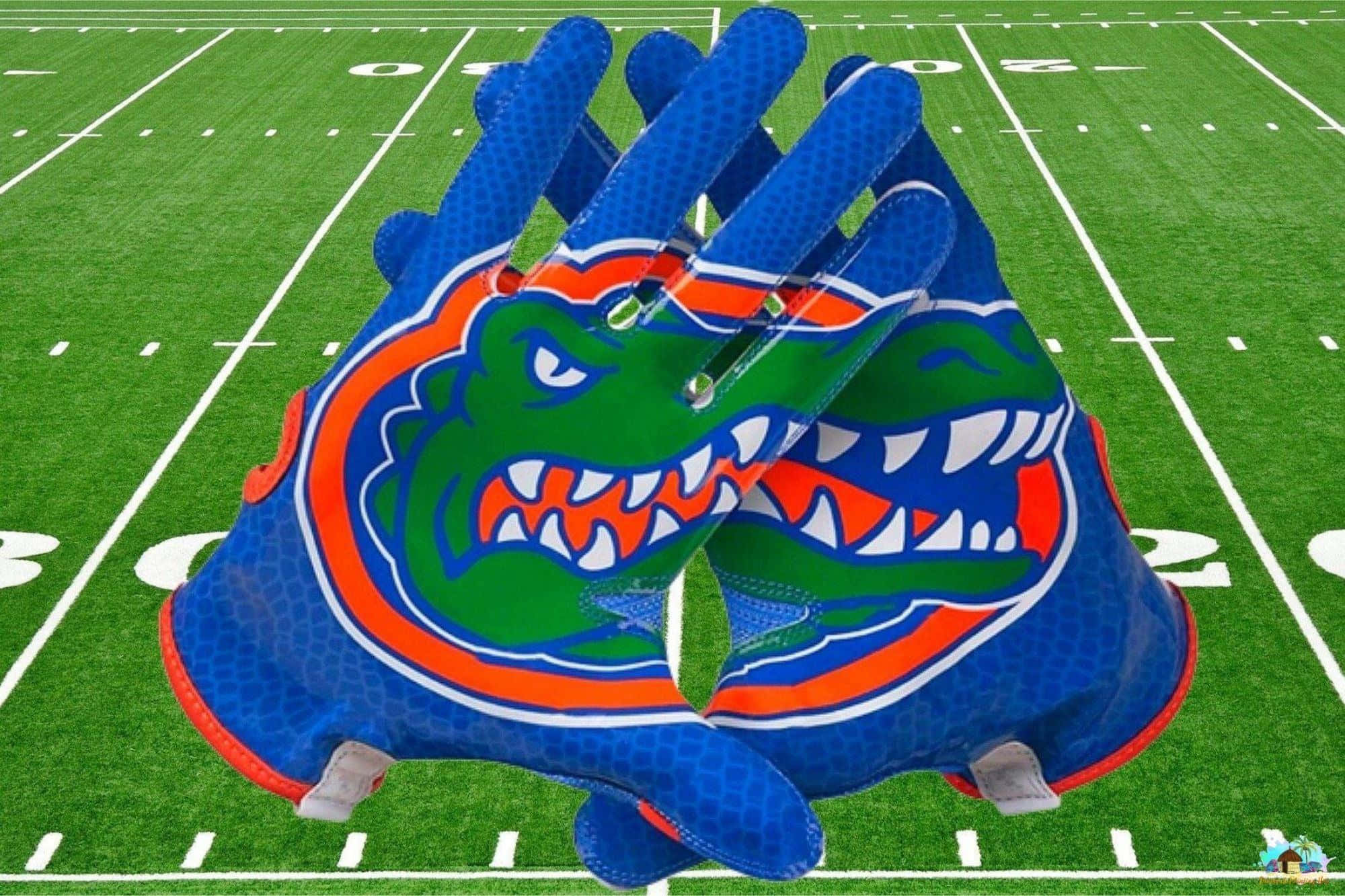Florida Gators, blue football gloves, green alligator logo, Full HD Desktop Wallpaper