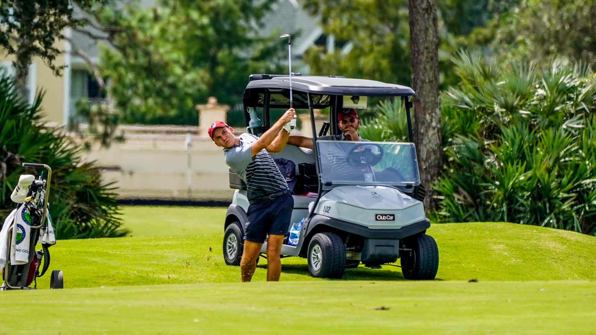 Florida Golf, golf cart, caddy bag, Full HD Desktop Wallpaper