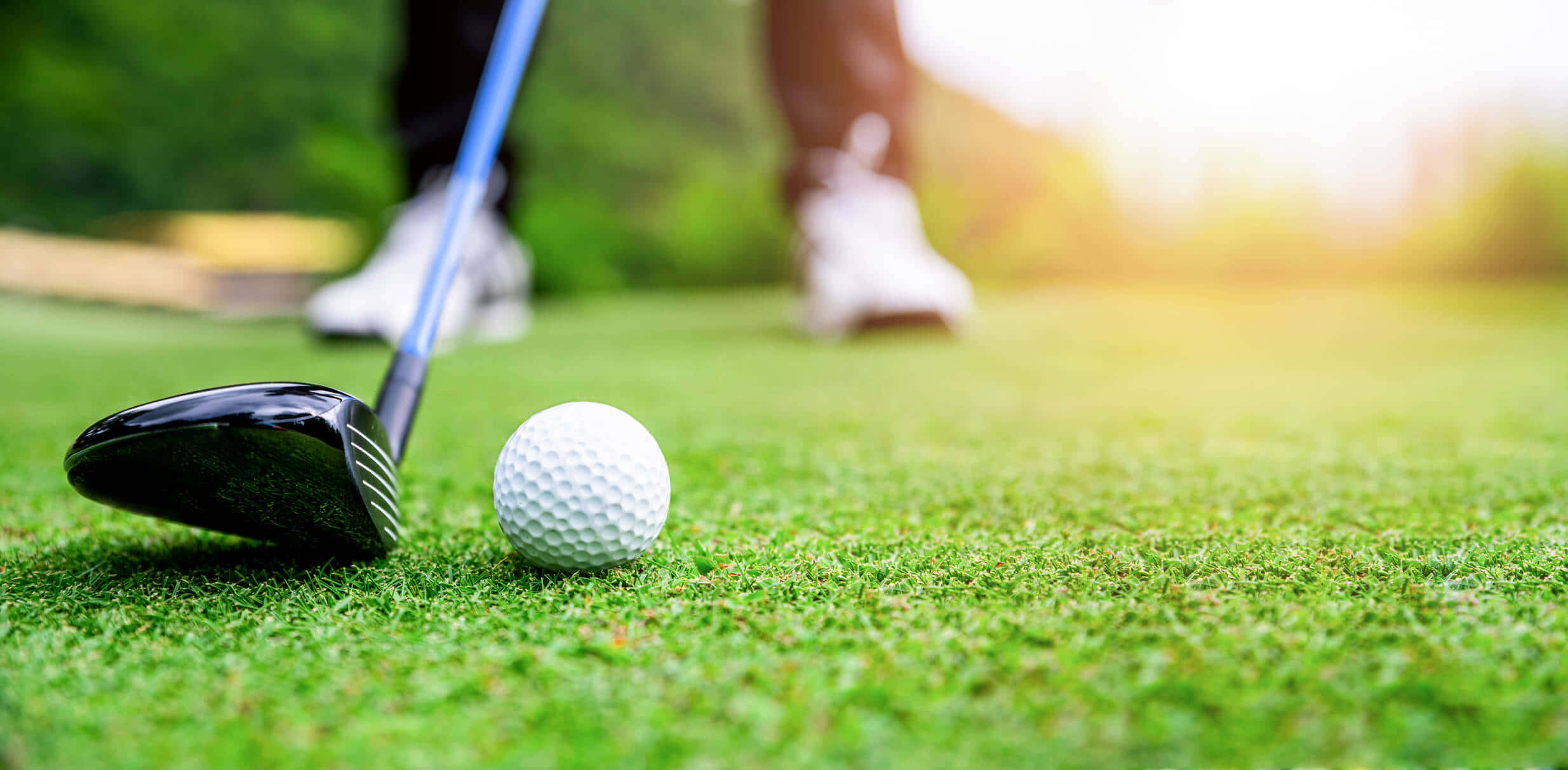 Florida Golf, golf club, golf ball, Full HD Desktop Wallpaper