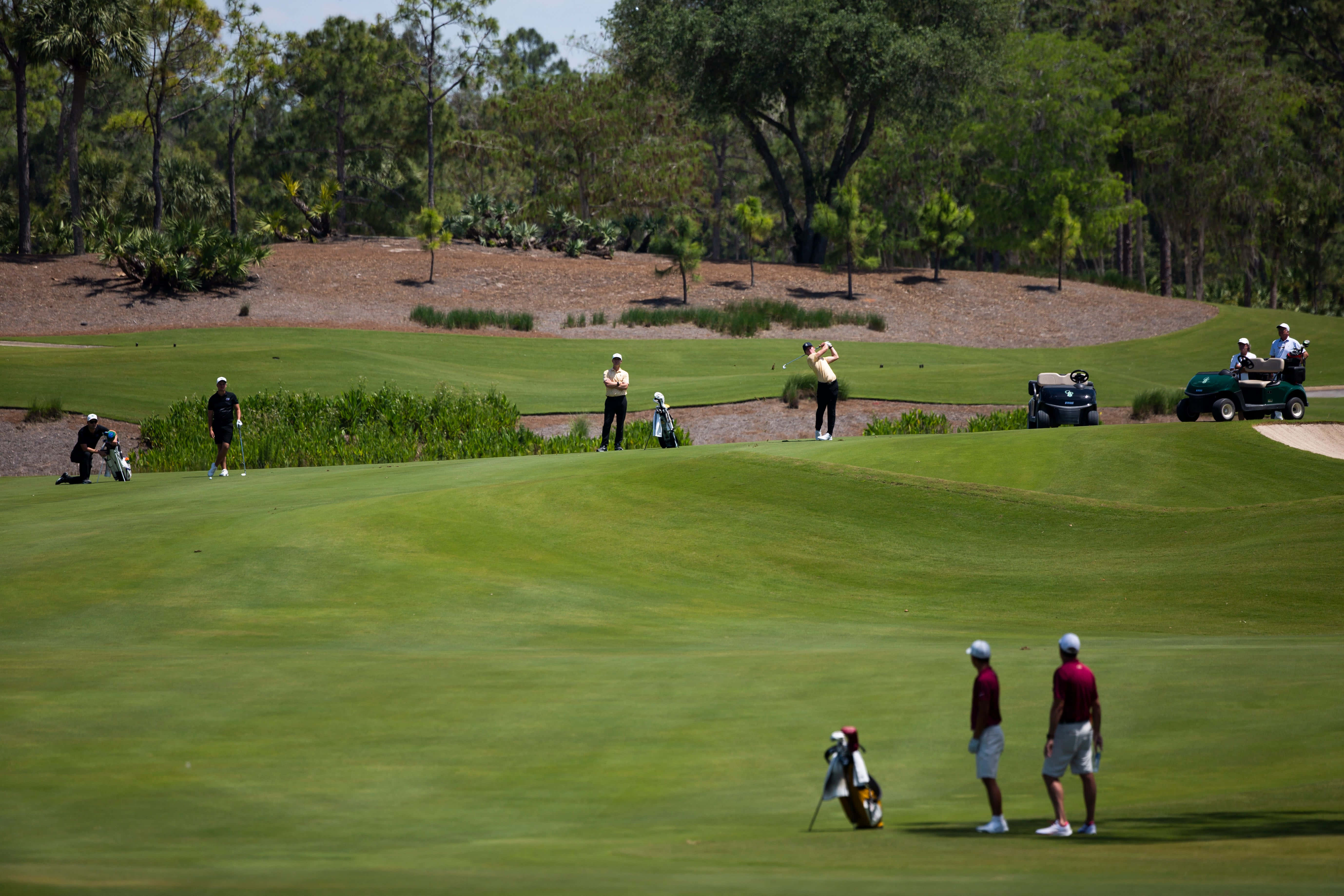 Florida Golf, green field, sunlit course, 5K Desktop Wallpaper