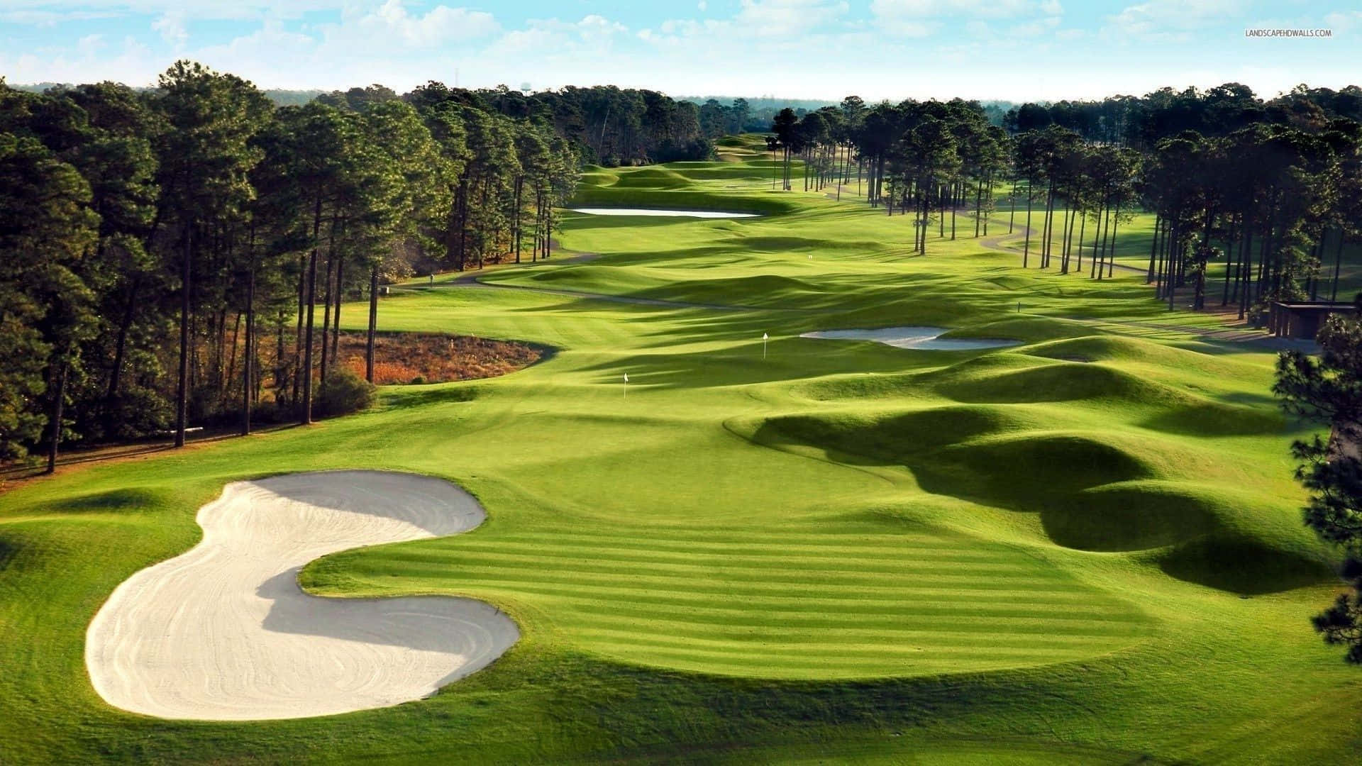 Florida Golf, green sand bunker, lush green golf course, Full HD Desktop Wallpaper