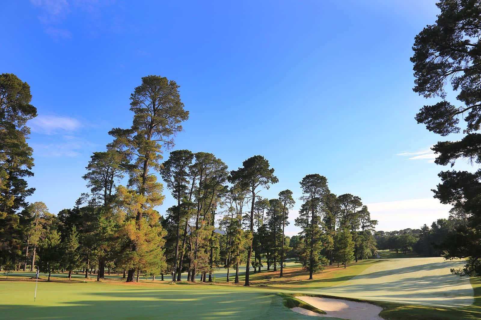 Florida Golf, golf course, lush green fairways, HD Desktop Wallpaper