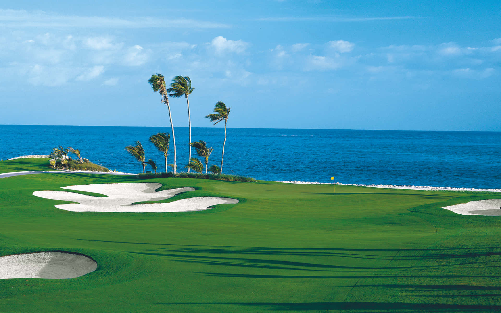 Florida Golf, golf course, palm trees, Full HD Desktop Wallpaper