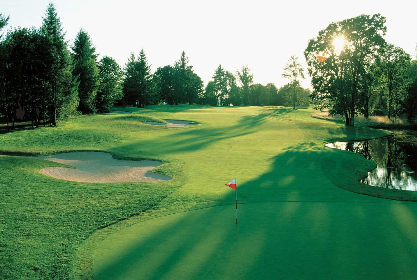 Florida Golf, golf course, pond, HD Desktop Wallpaper