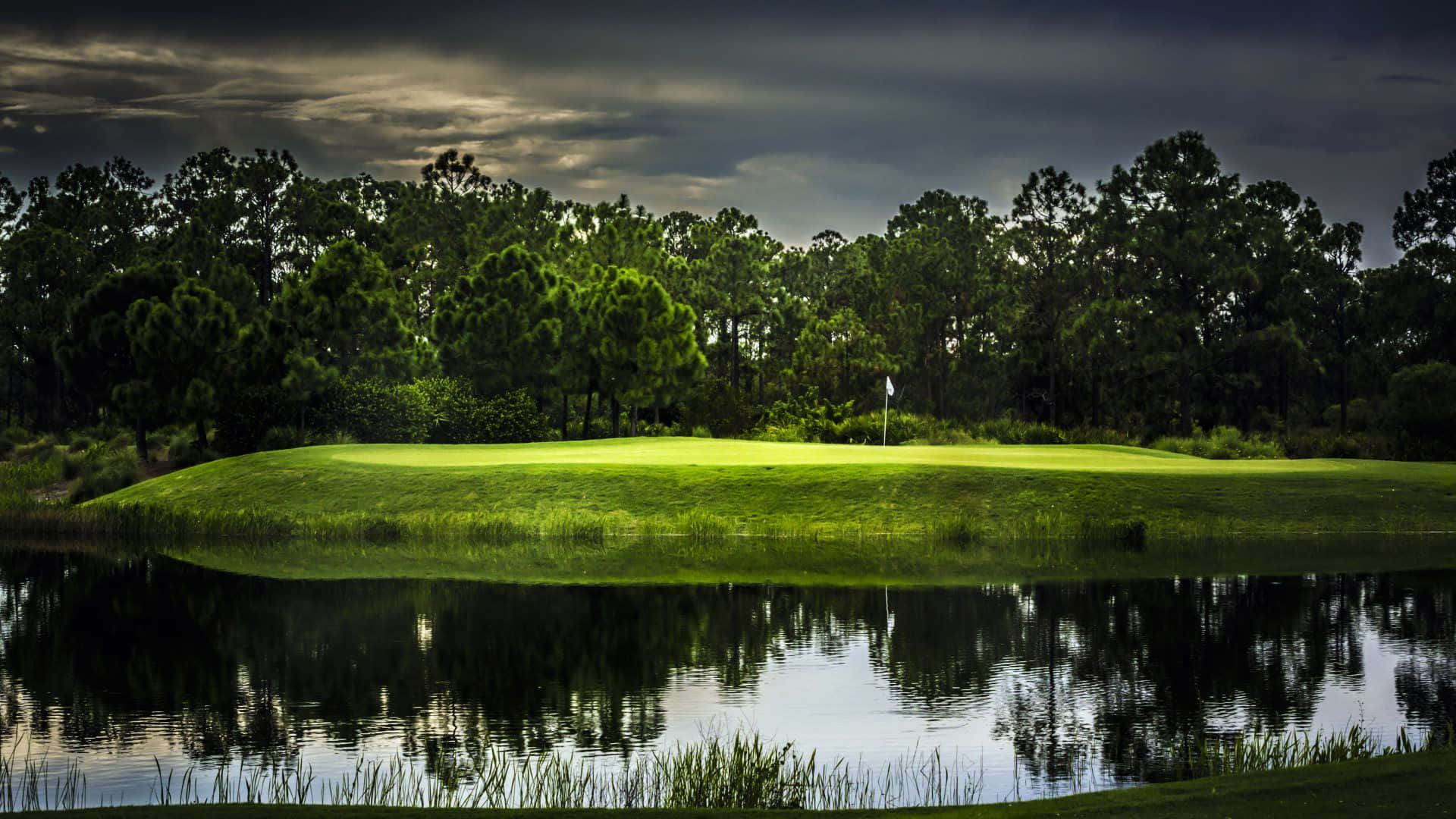 Florida Golf, golf green, dramatic sky, Full HD Desktop Wallpaper