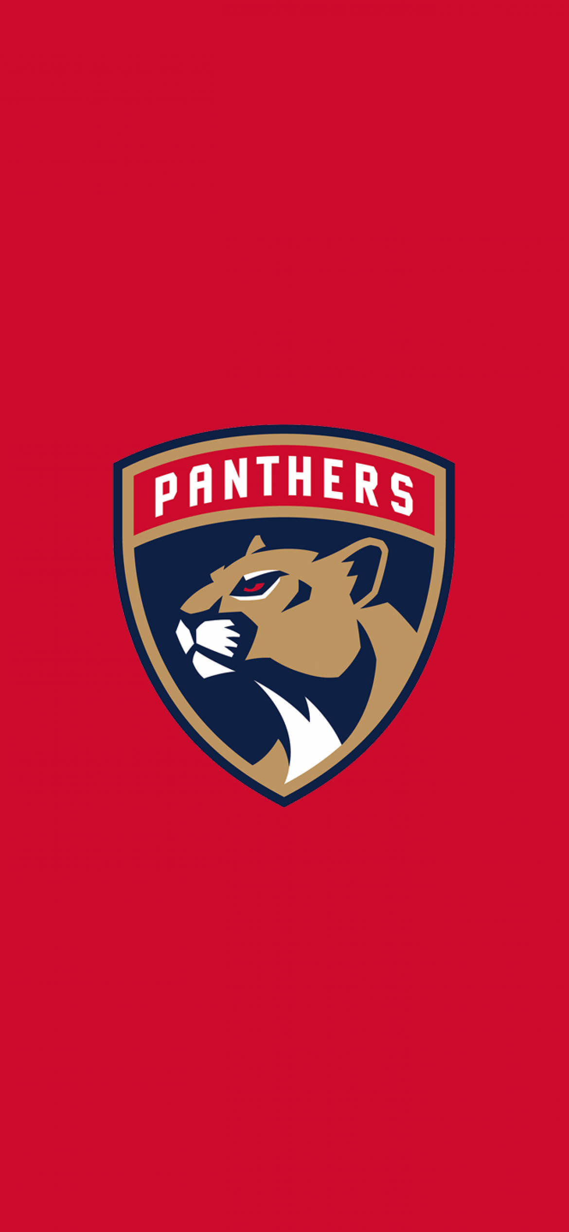 Florida Panthers, minimalist, iPhone, Full HD Phone Wallpaper