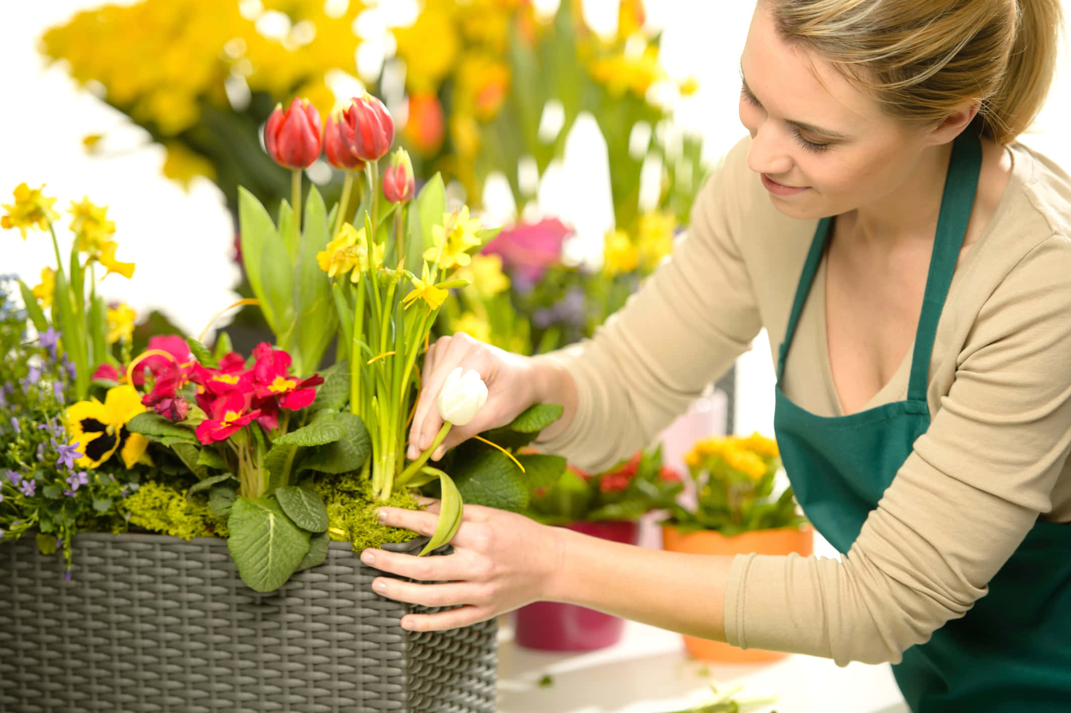 florist, green apron, vibrant spring flowers, Full HD Desktop Wallpaper