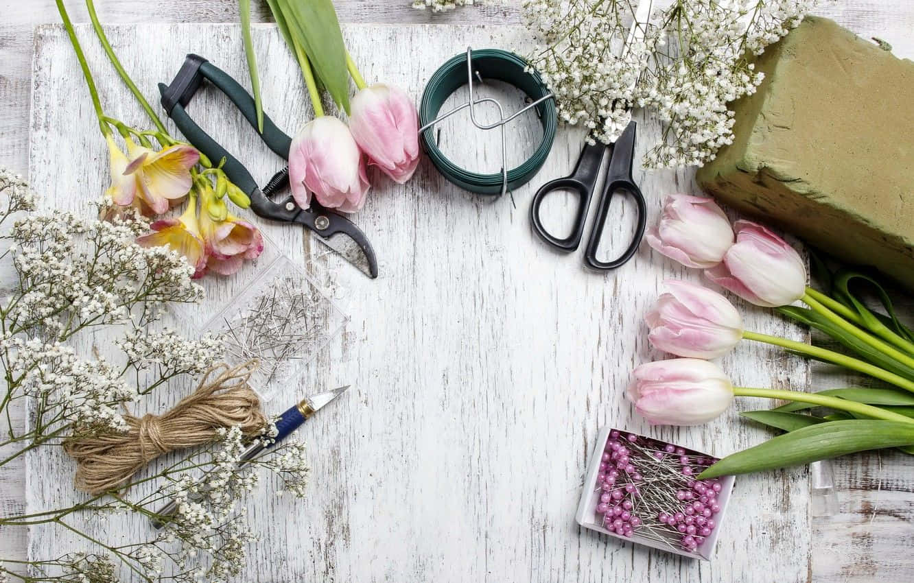 florist, pink tulips, baby's breath, HD Desktop Wallpaper
